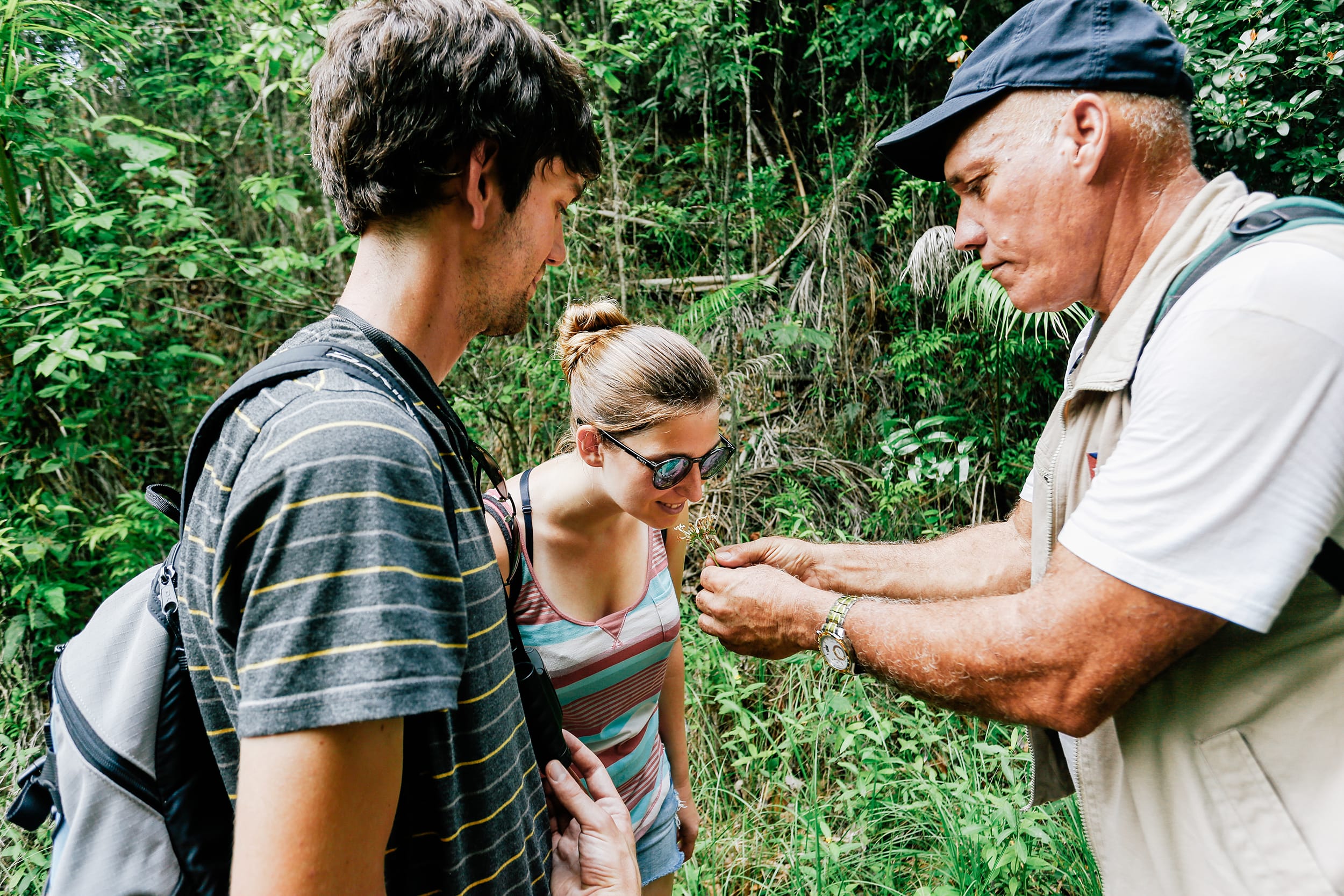 How the Airbnb Community Supports EnvironmentallyFriendly Travel Worldwide