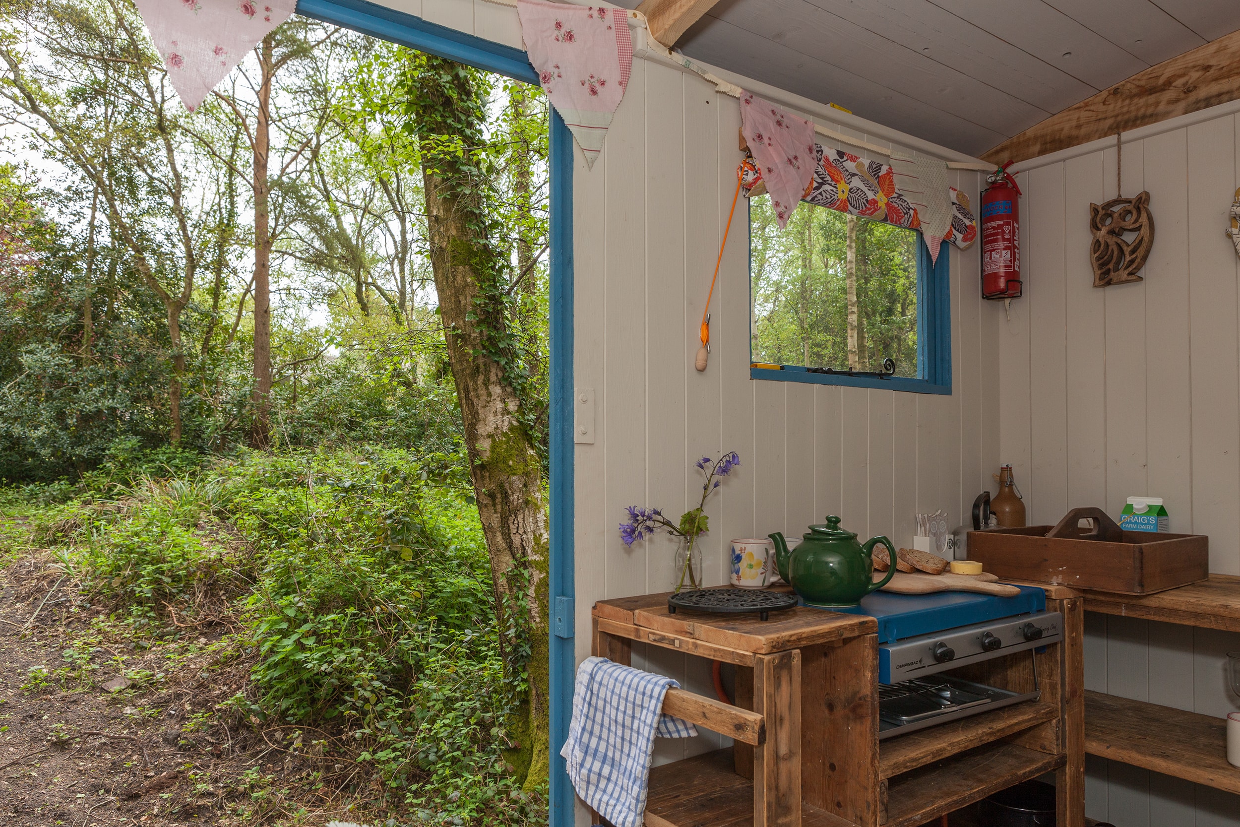 Shepherd’s Hut in Purbeck Woodland with Breakfast - Wareham, UK