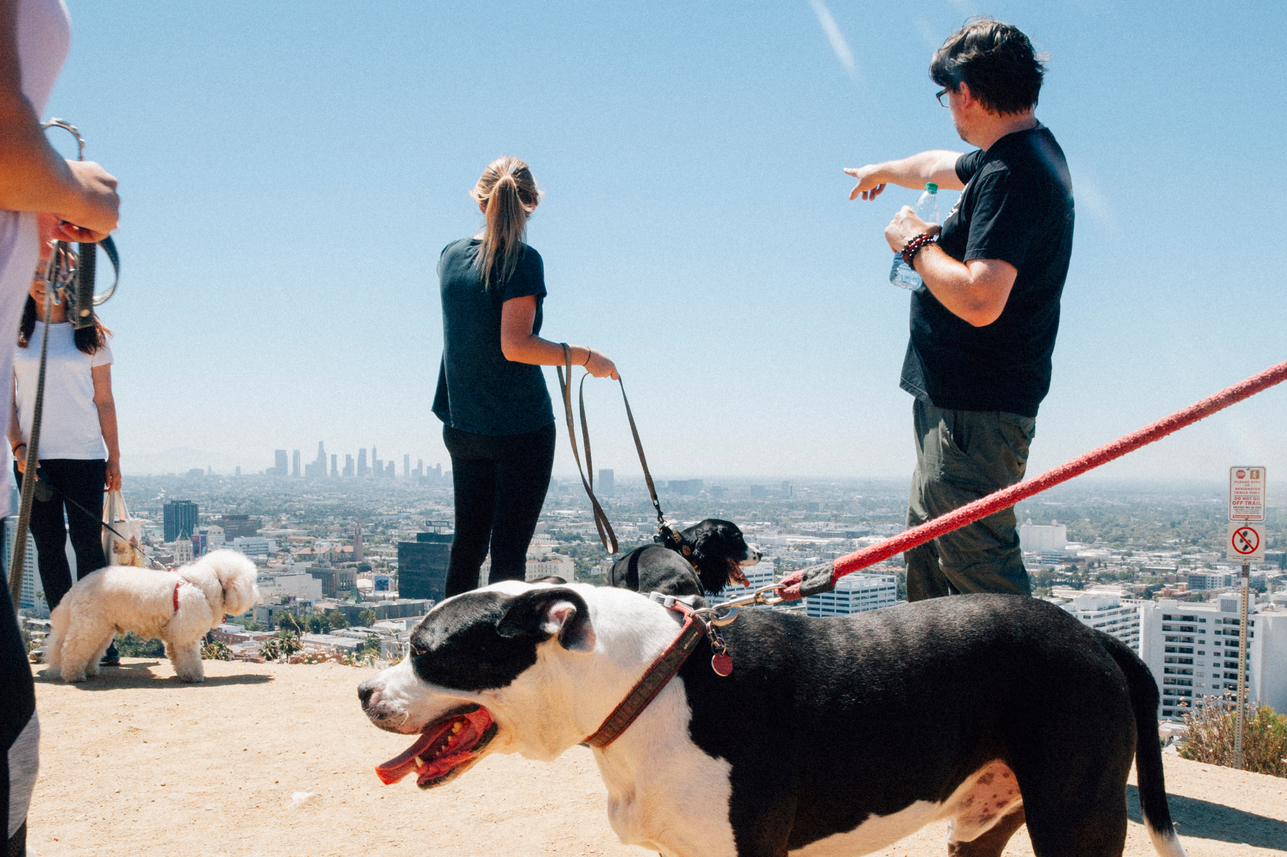 Hike runyon canyon shop with a rescue dog