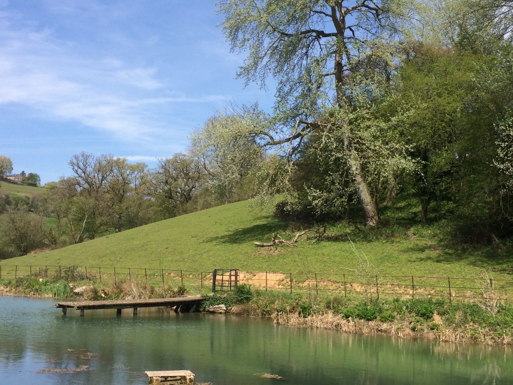 Landscape shot of a swimming pond with a dock in the foreground and a grassy knoll with a group of trees lining the badck.