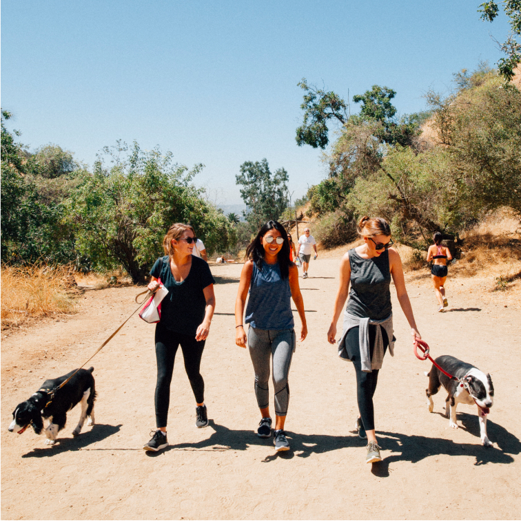 Image of Social Impact Experience in LA where hikers walk rescue dogs