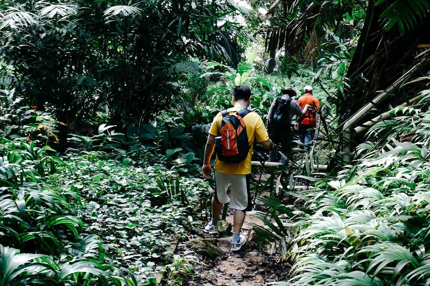 Off the Beaten Trek: Airbnb's Best Hiking Destinations in Asia Pacific