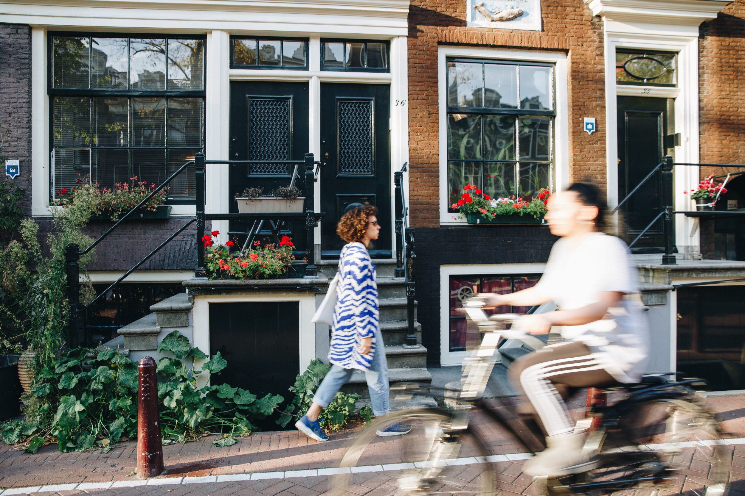 A neighbourhood in Amsterdam