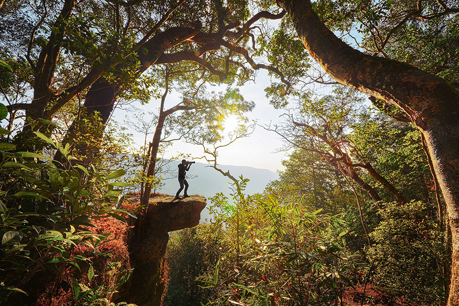 A photographer silhouetted by the vibrant sunset captures a photo of the lush nature in Thailand.