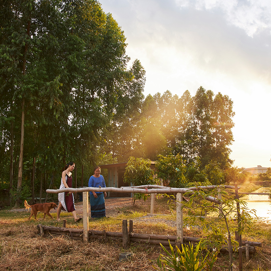 Two women and a dog walk across a short wooden bridge during sunset in Saraburi, Thailand. 