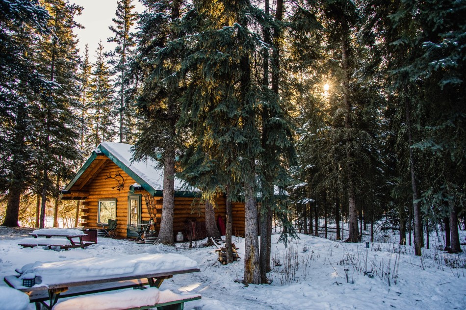 Love at Frost Sight! 12 Uniquely Loveable Homes for the Holidays