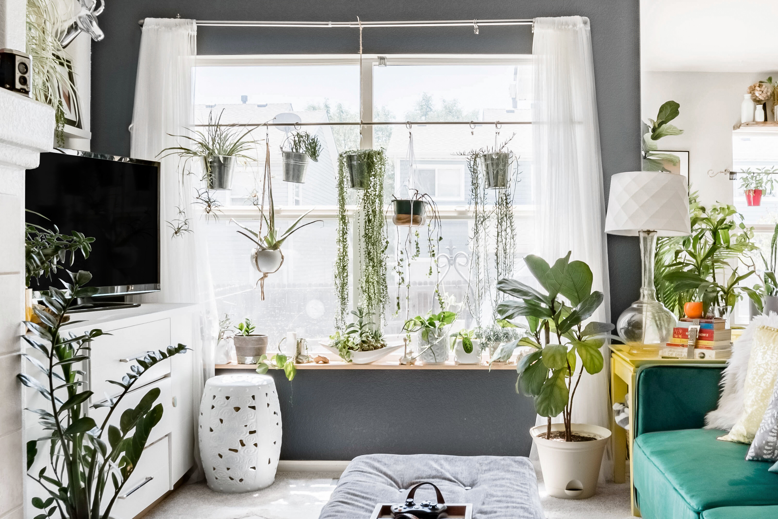 La novedad de IKEA que arrasará entre los amantes de las plantas: un mini  invernadero para que tengas en casa tu propio huerto urbano