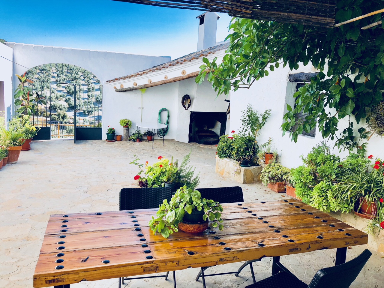 View of a plant-filled courtyard belonging to an Andalusian villa
