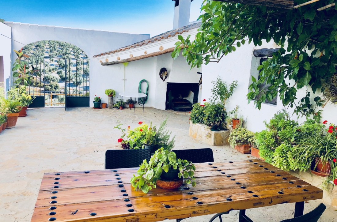View of a plant-filled courtyard belonging to an Andalusian villa