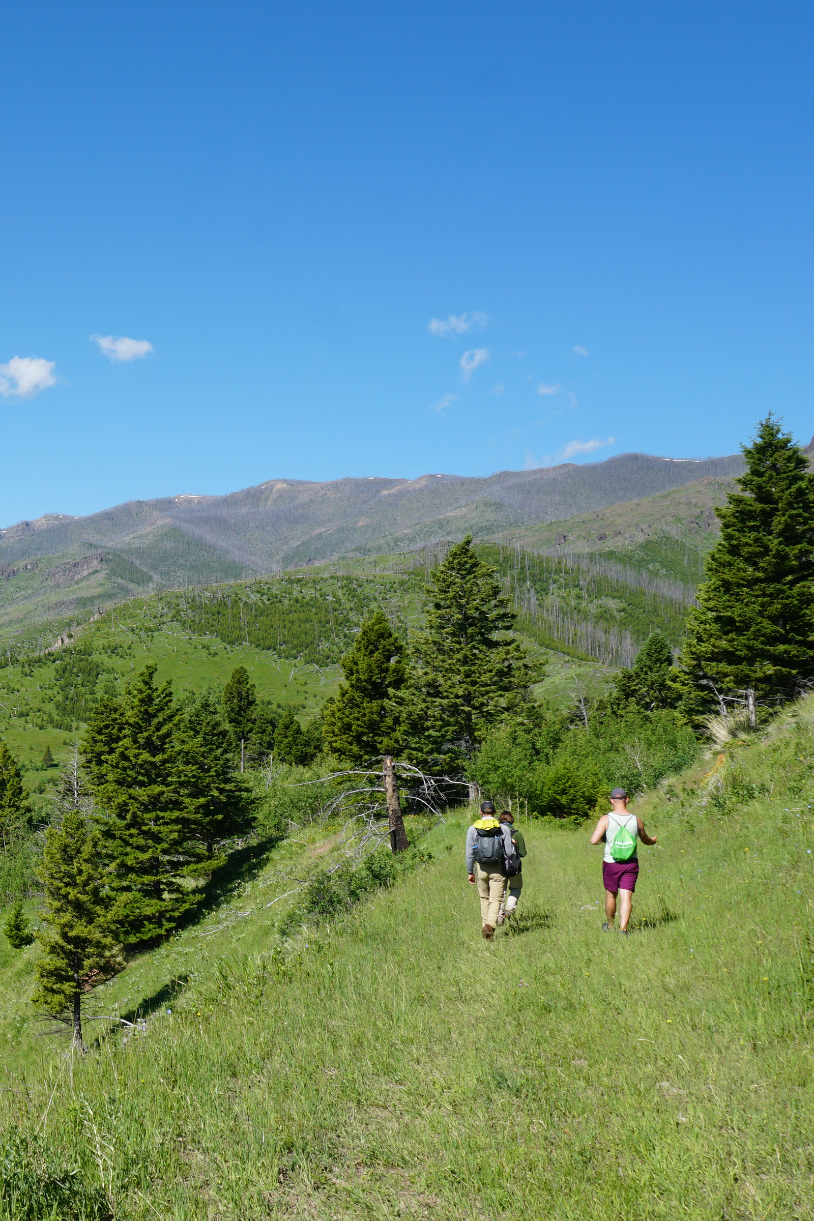 A few guests on a beautiful guided hike on private land of Big Sky country.