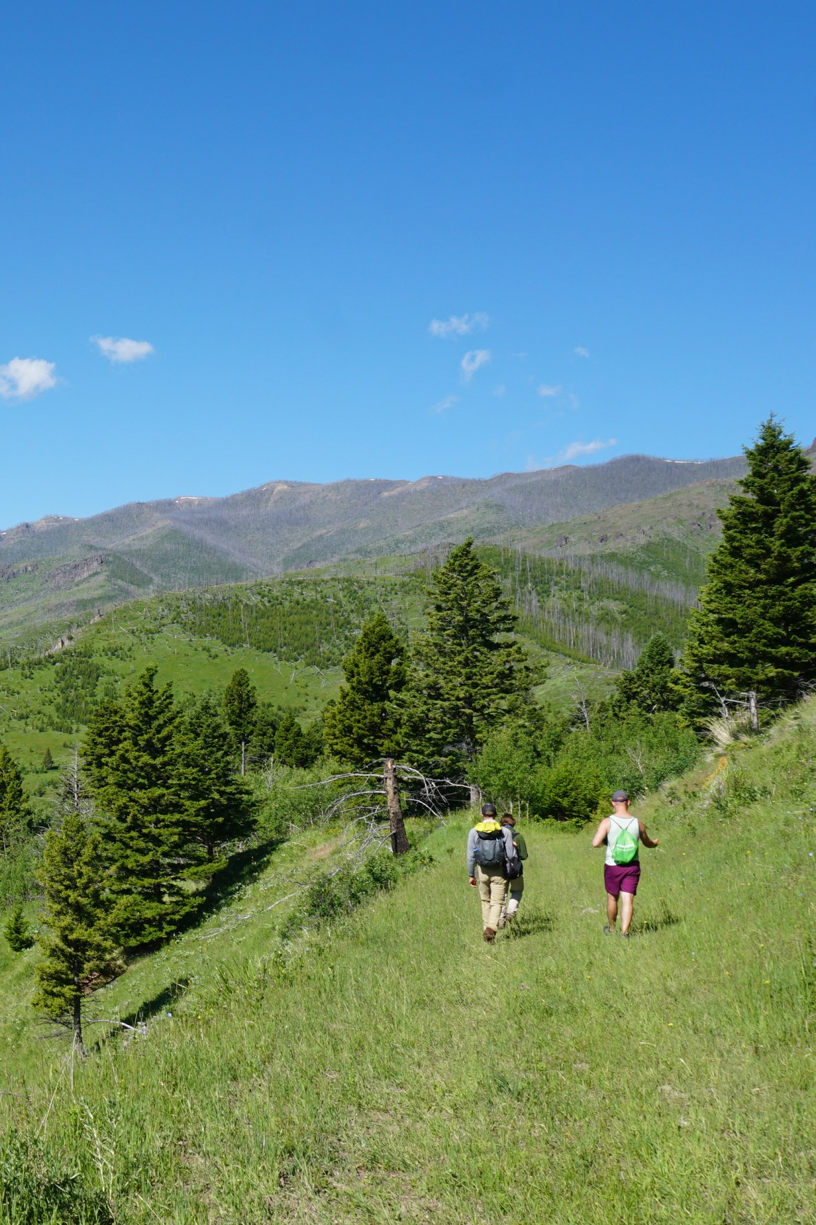A few guests on a beautiful guided hike on private land of Big Sky country. 