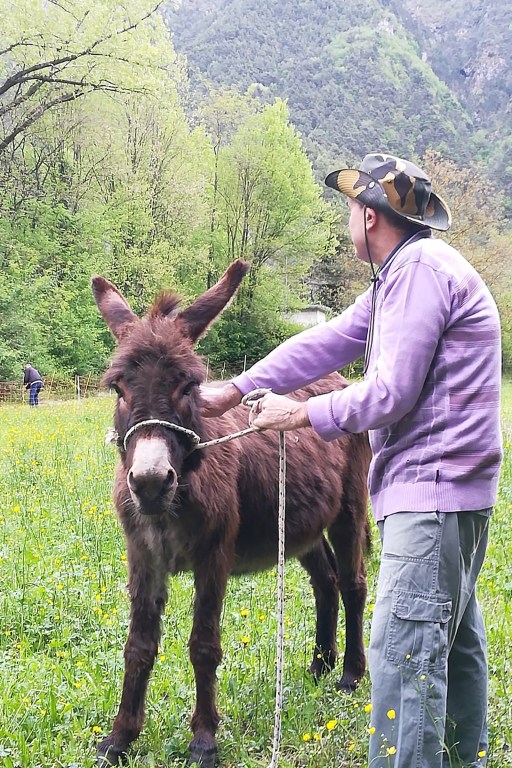 A guest tending do a resident donkey on the farm in Idro, Italy.