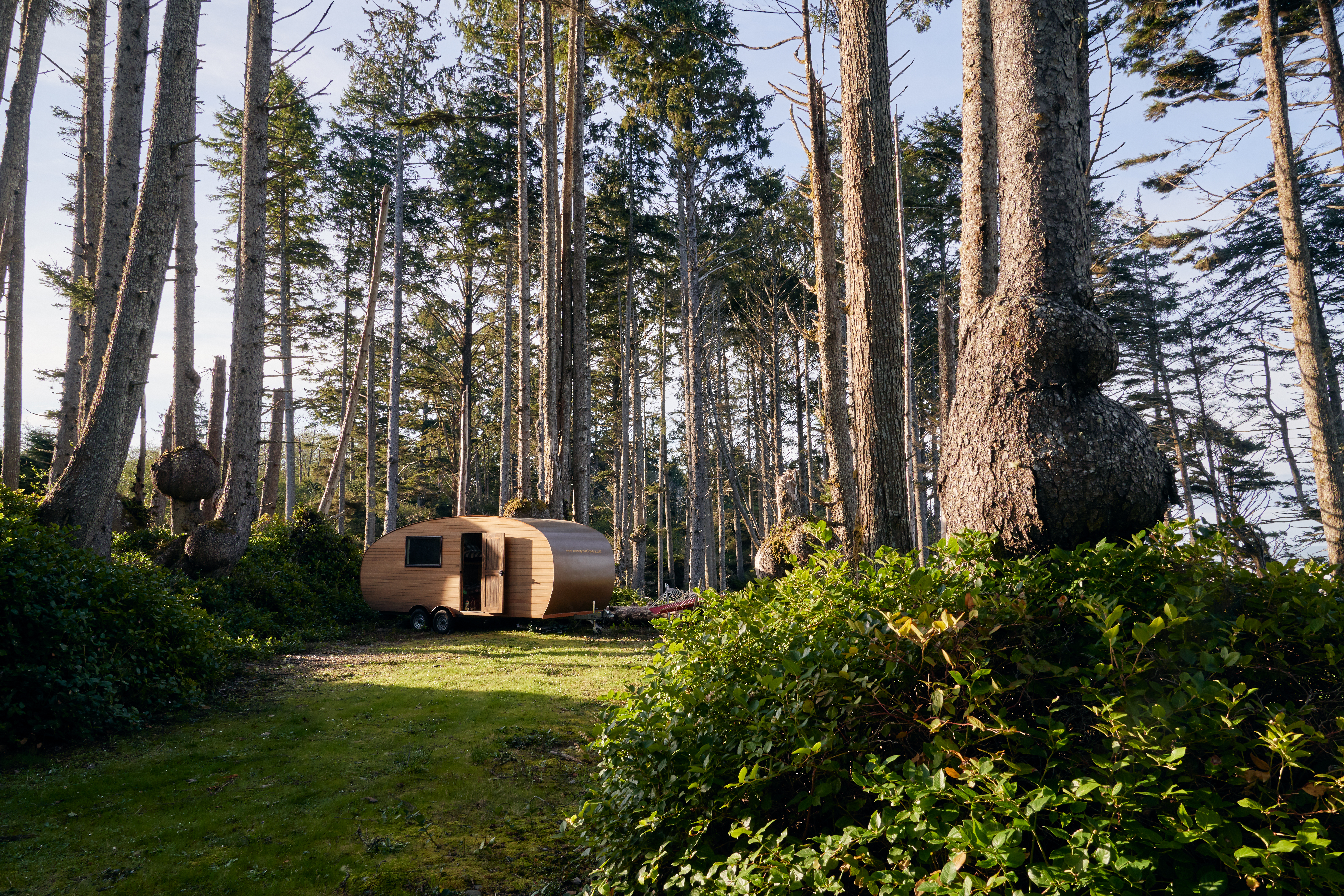 Shepherd's hut situated in the middle of a lush green forest with tall trees surrounding it.