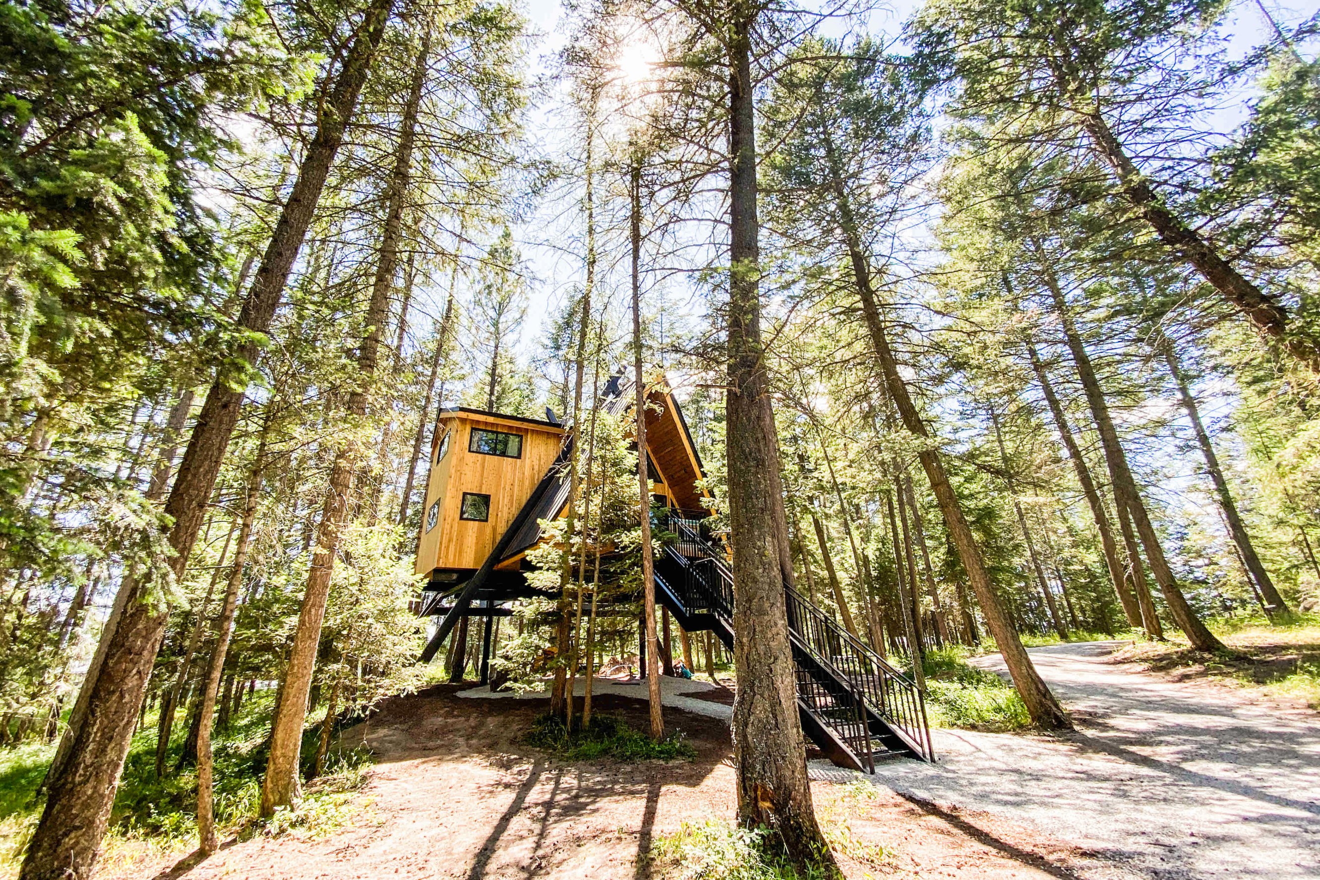 A-frame cabin elevated on stilts in the middle of a coniferous forest.