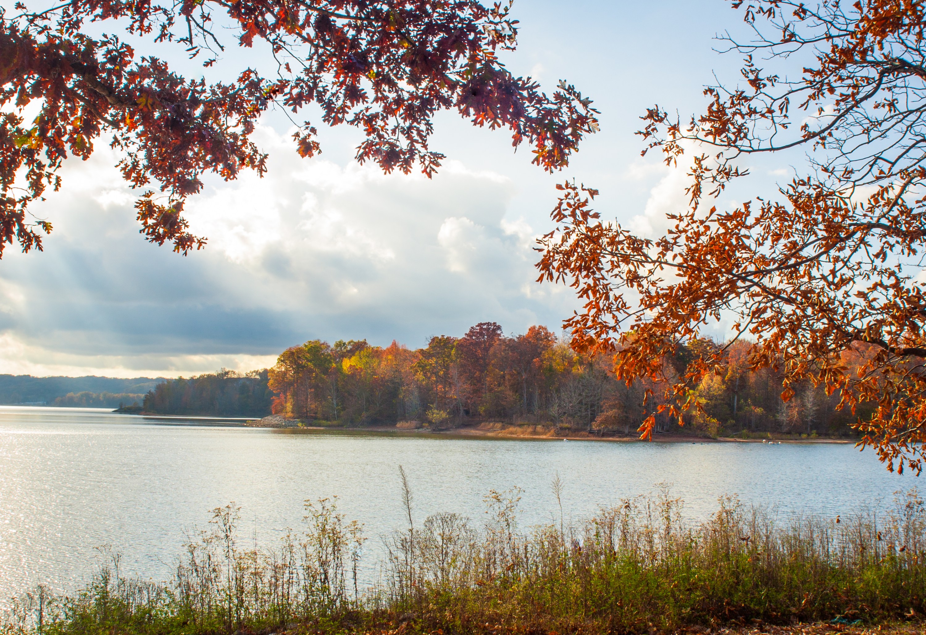 Visit Bloomington and Airbnb partner to help guests rediscover Bloomington