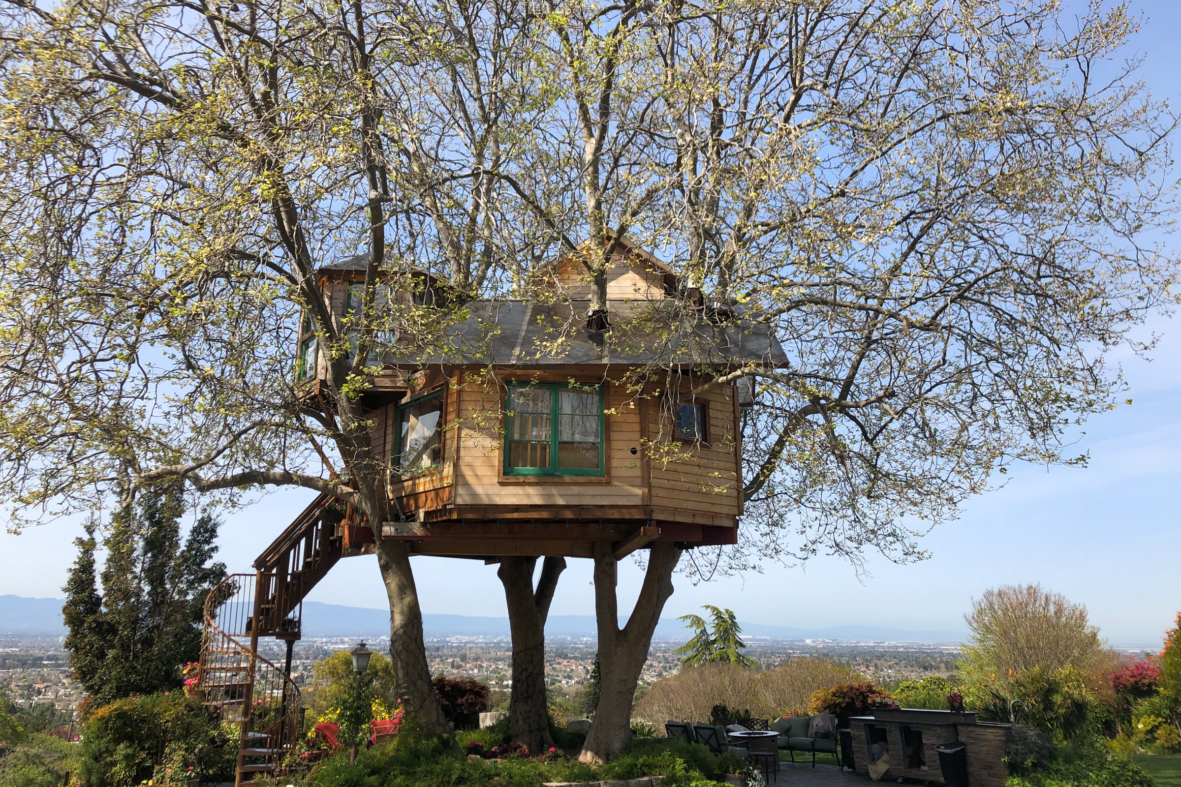 Treehouse, San Jose (San Jose, CA)