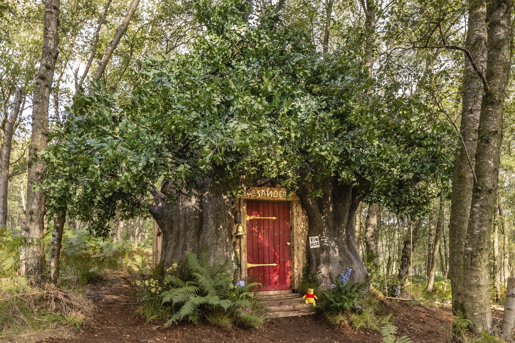 Where Winnie the Pooh Lived The Real Life Hundred Acre Wood