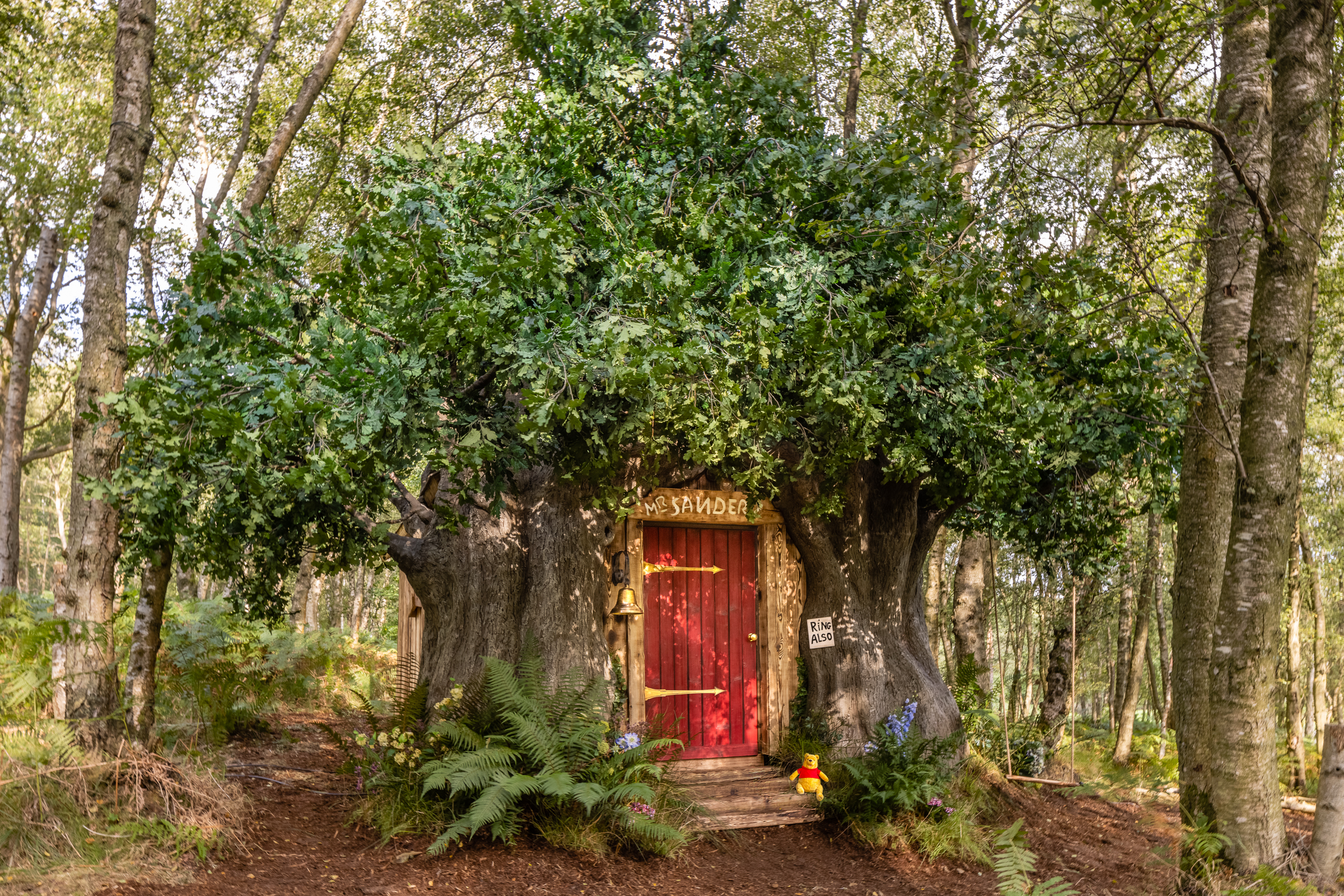 Exterior shot of Winnie the Pooh's house. Exposed tree branches wrapped around the house with ‘Mr. Sanders’ inscribed above the doorway.