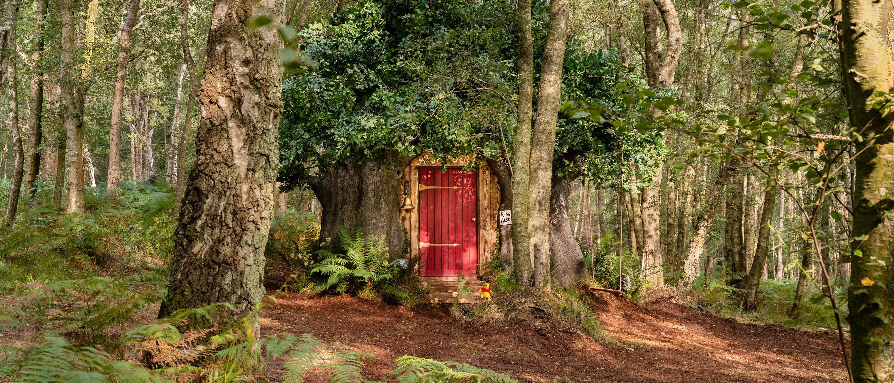 Exterior shot of Winnie the Pooh's house. Exposed tree branches wrapped around the house with ‘Mr. Sanders’ inscribed above the doorway.