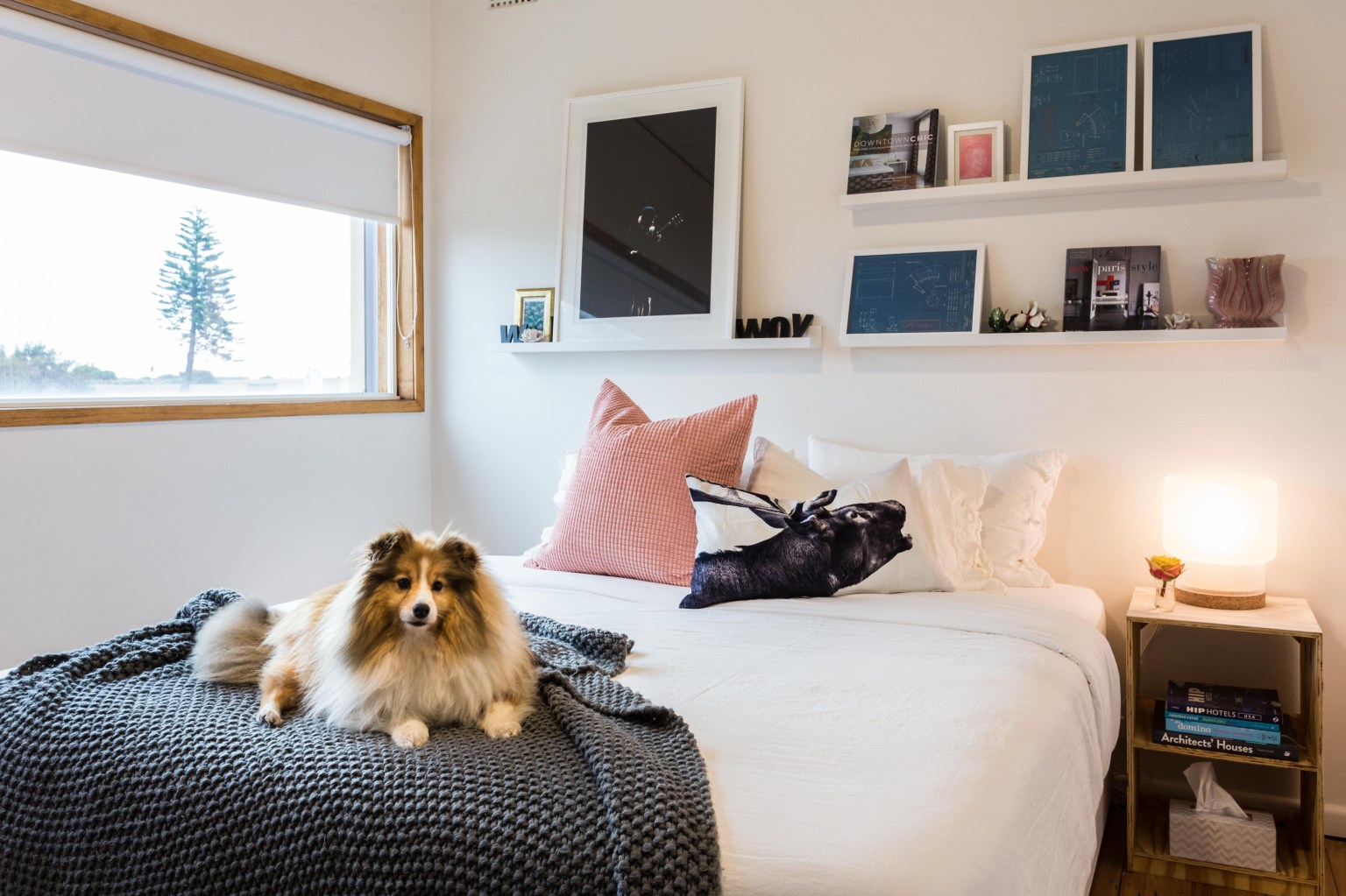 Airbnbではペットと同伴旅行が可能なリスティングが多数！「世界動物の日」にAirbnbで愛するペットと旅行しよう