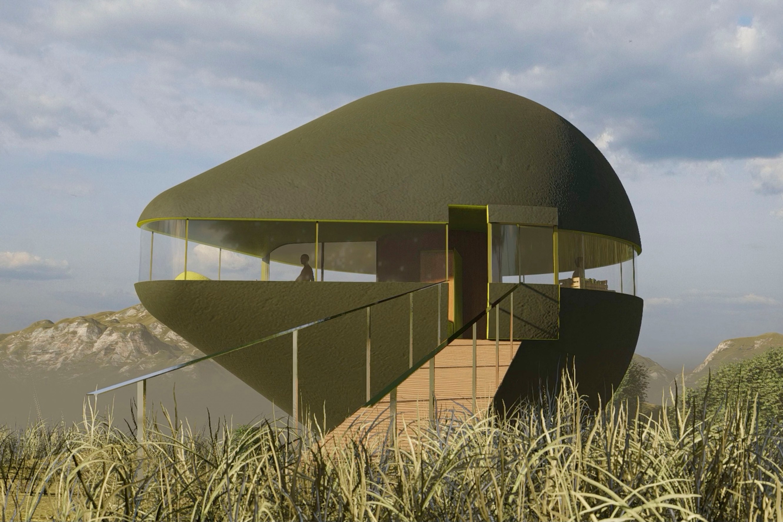 Home in the shape of a sideways avocado