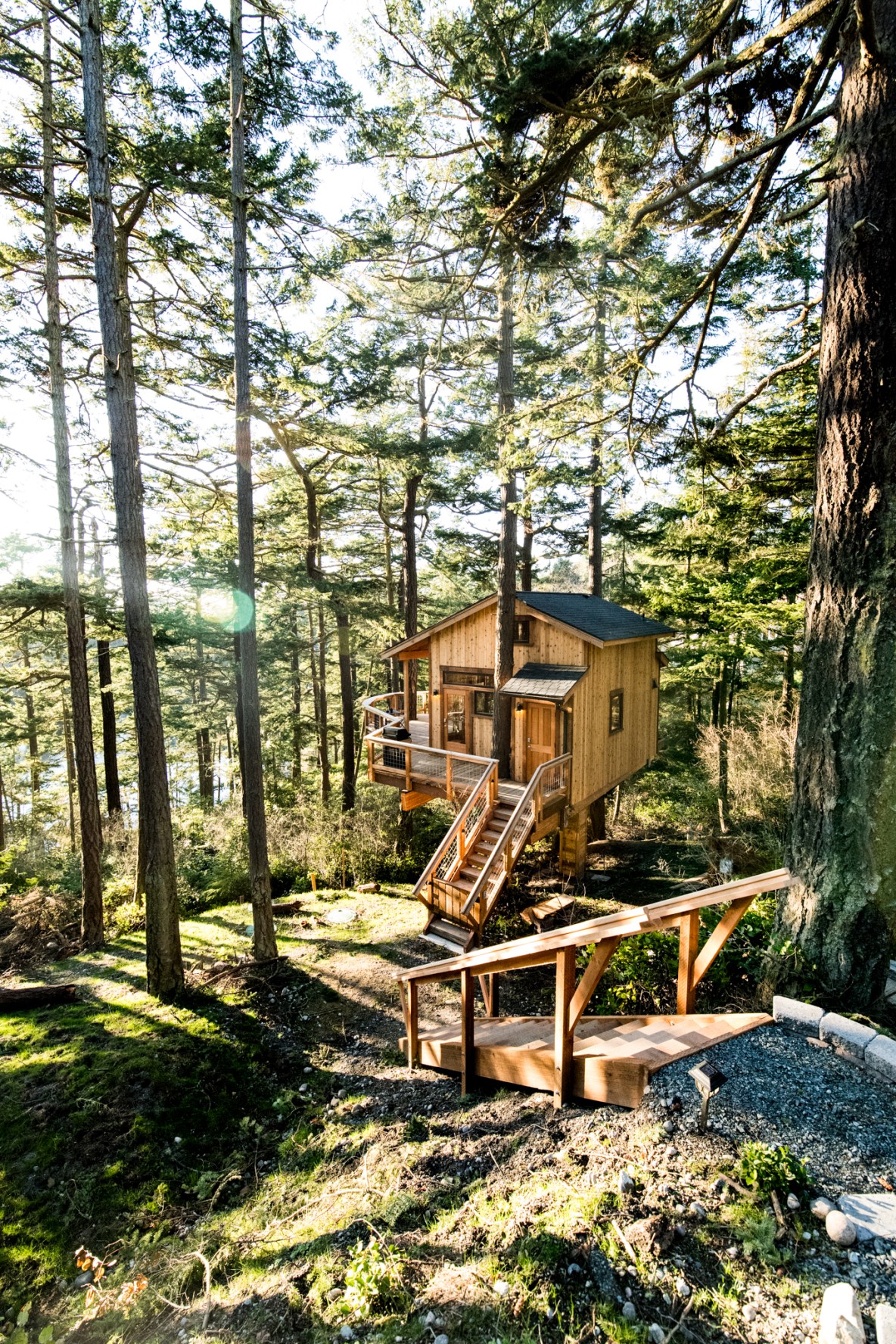 One level tree-house cabin, with an angled staircase surrounded by trees in a forested location