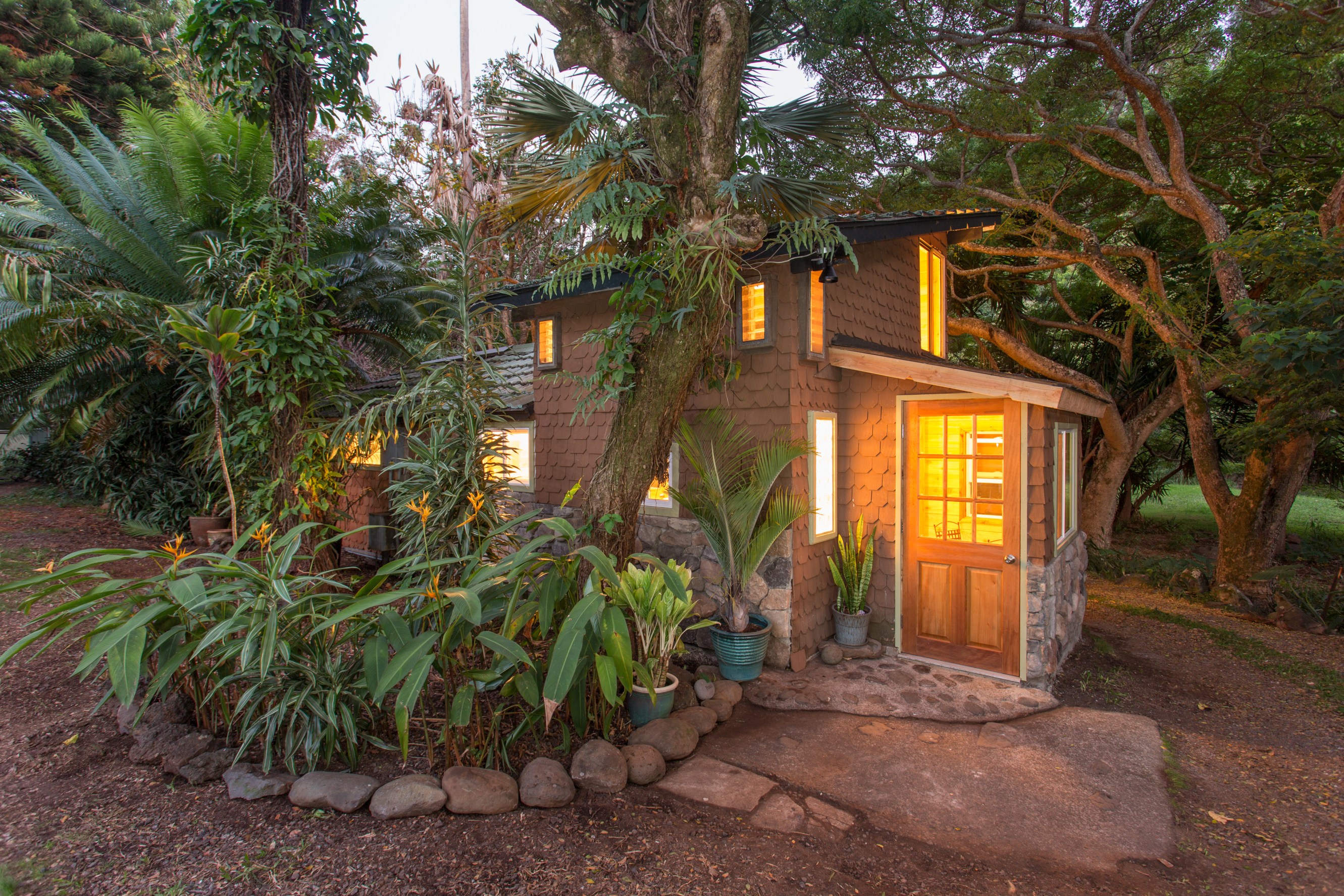 Warmly-lit cabin, surrounded by tropical trees with a path leading straight to the door