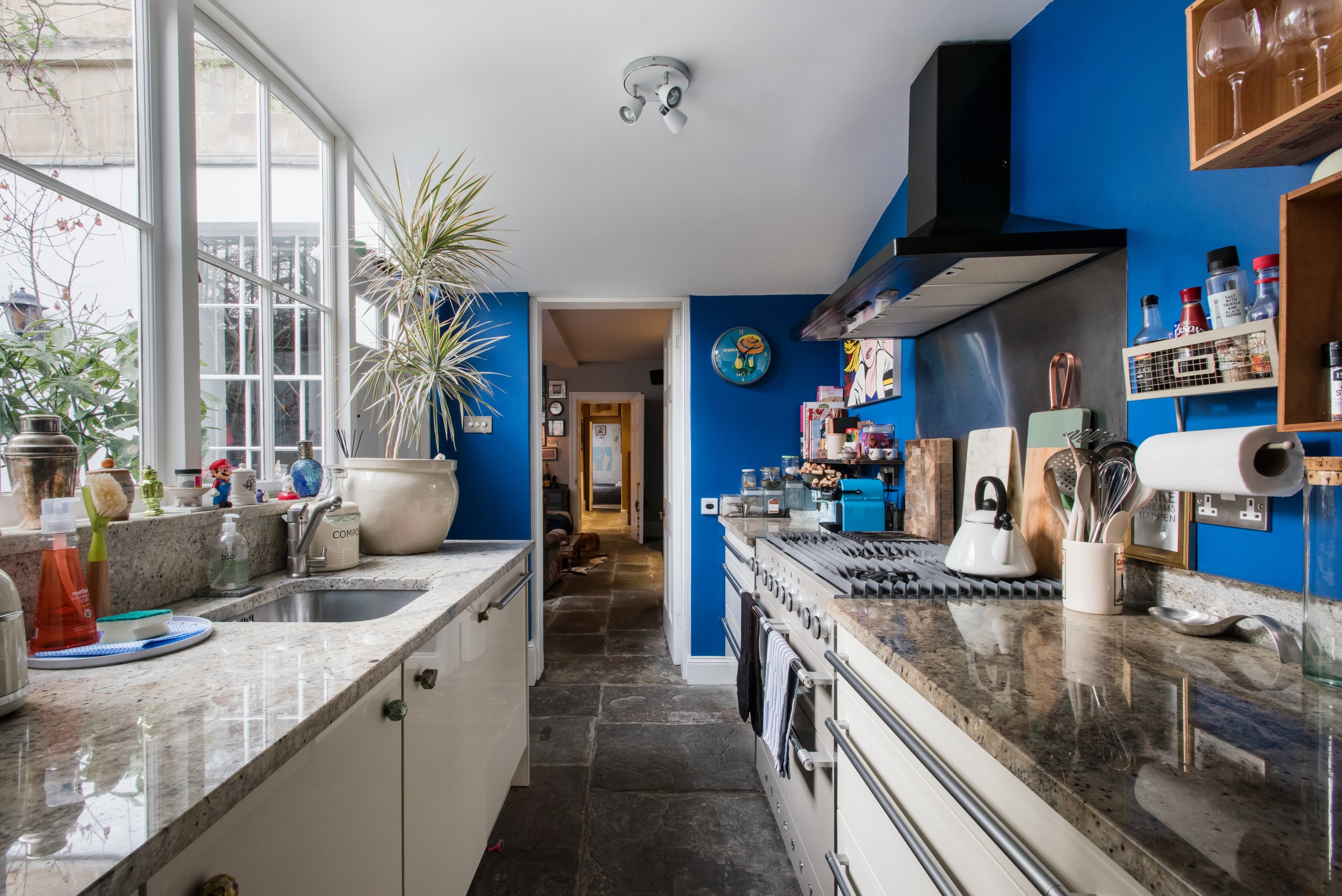 The kitchen is colourful, equipped with modern appliances and filled with plants.