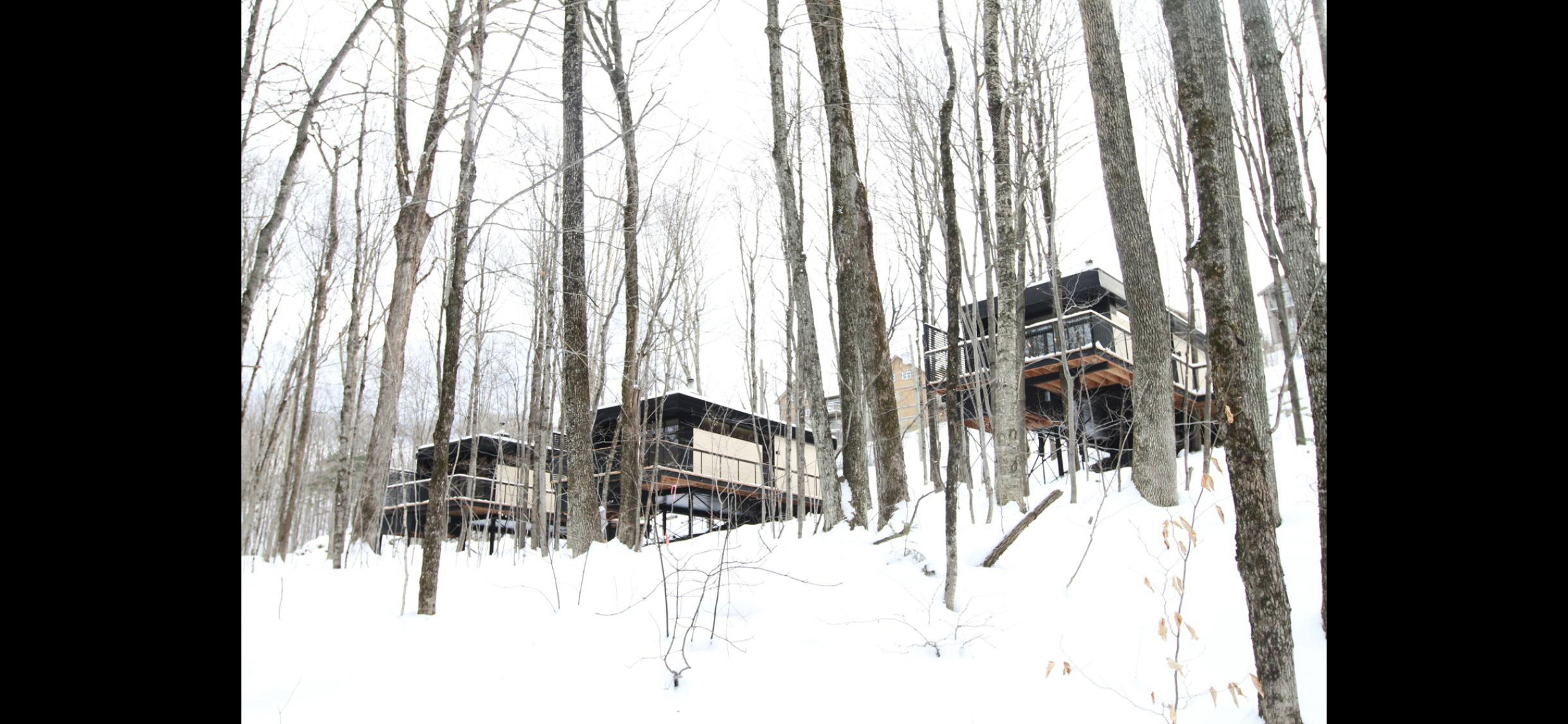 Three elevated cabins sit atop a snowy hill behind a forest of bare winter trees. 