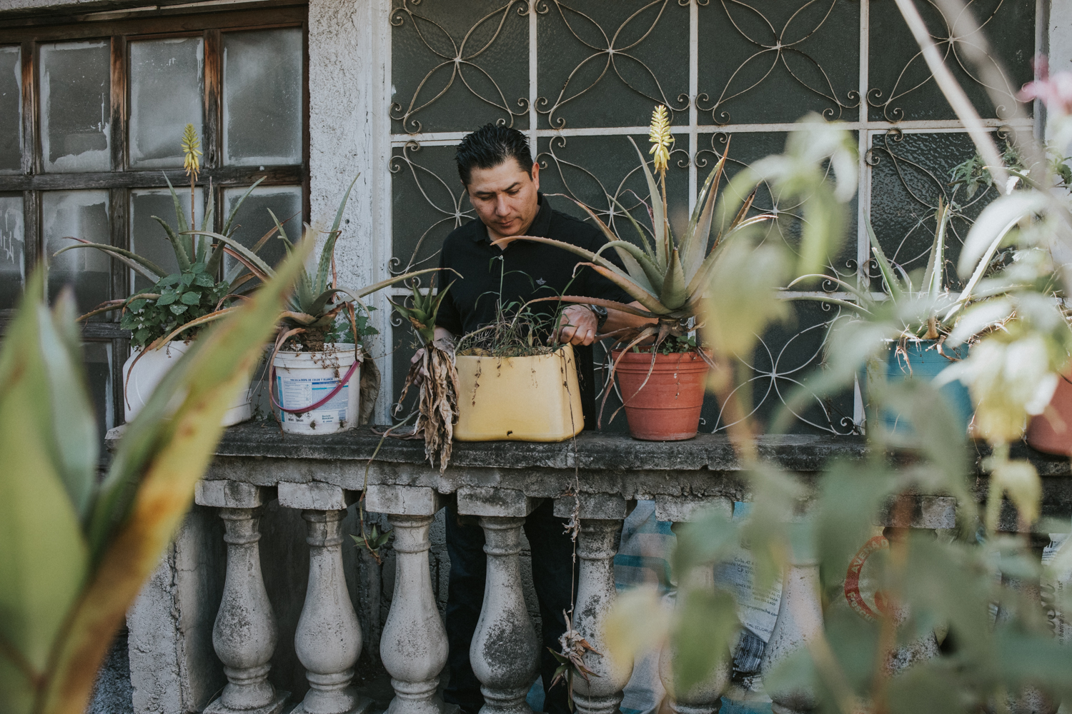 Anfitrion regando las plantas de su casa en Ciudad de Mexico