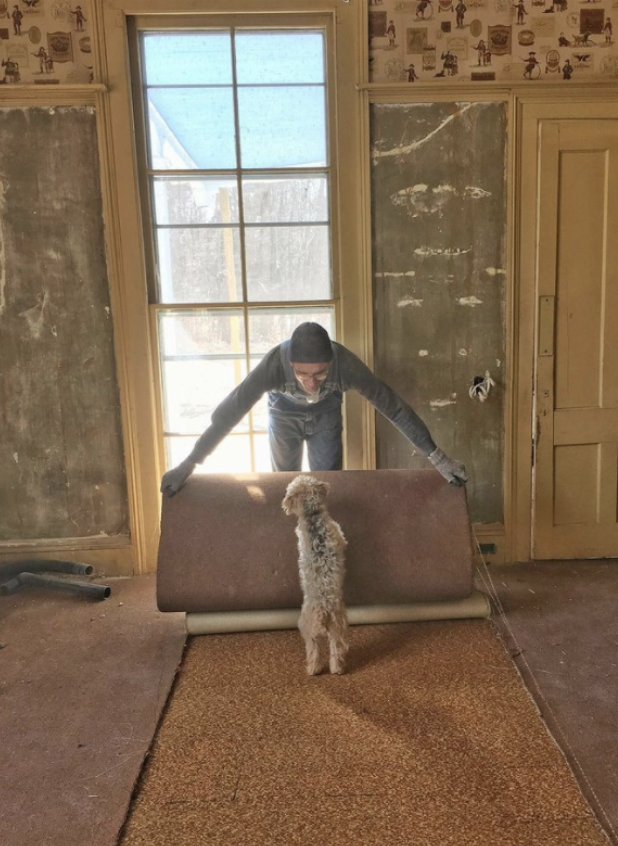 A photo of a man unrolling a carpet with a dog playfully following him, in an old living room that clearly appears to be under renovation or construction.