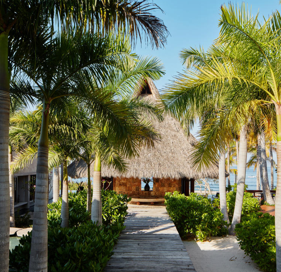 Al fondo una casa de playa, en el centro un camino de madera rodeado de palmeras