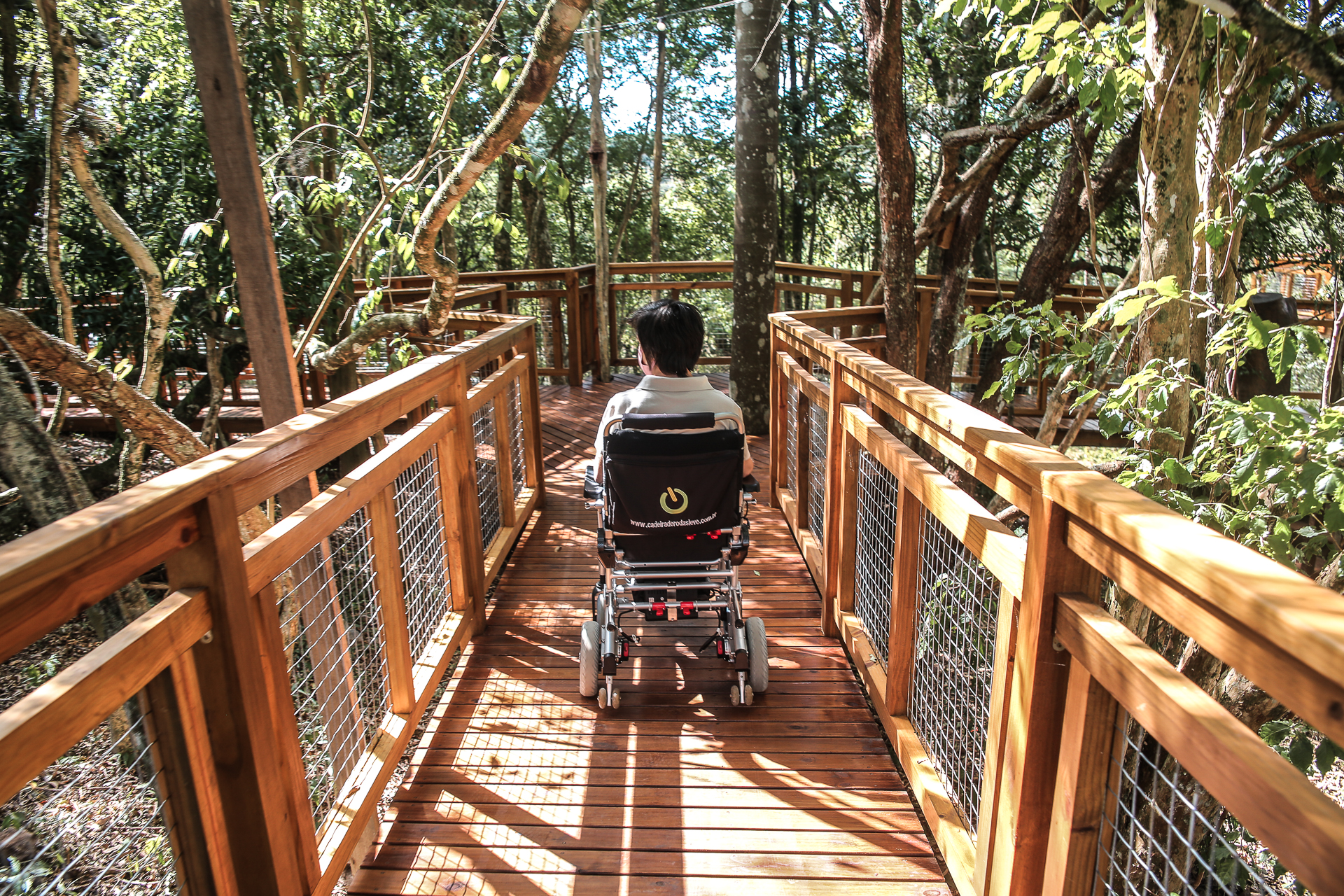 Image shows a person in a wheelchair in a treehouse on Airbnb