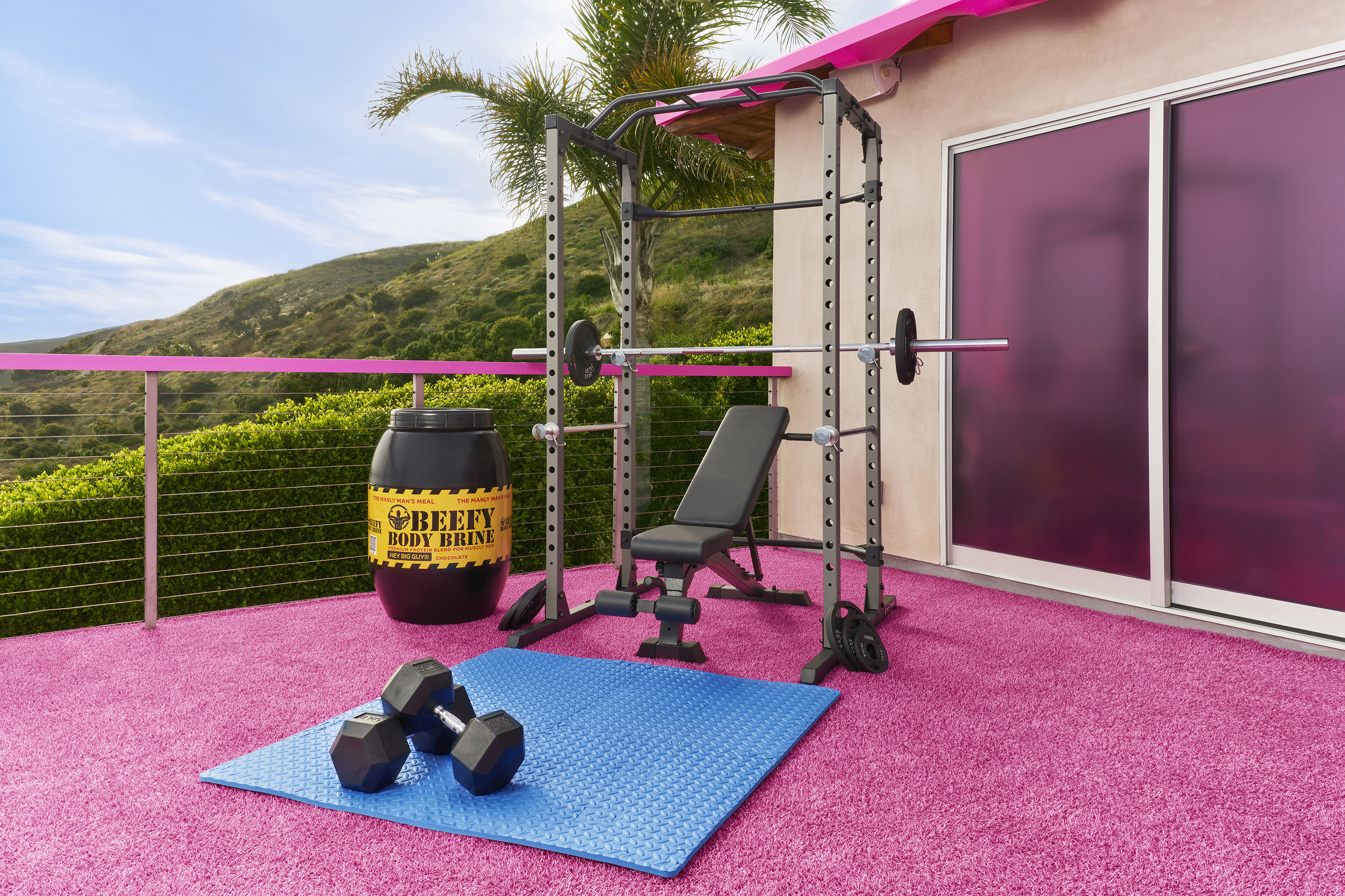 Outdoor gym area on a balcony, pink fluffy rug underneath the equipment and sliding glass doors behind it.