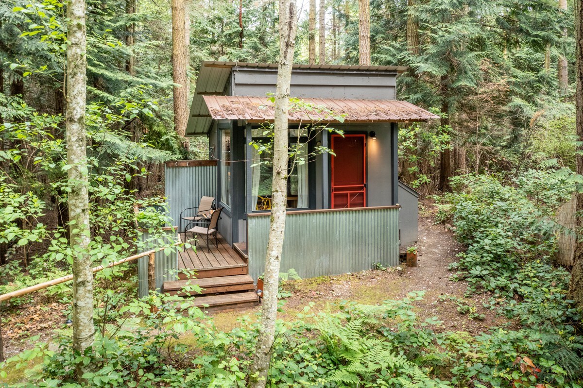 A light green small cabin in the middle of a forest, with two chairs out the front in a sitting area. 