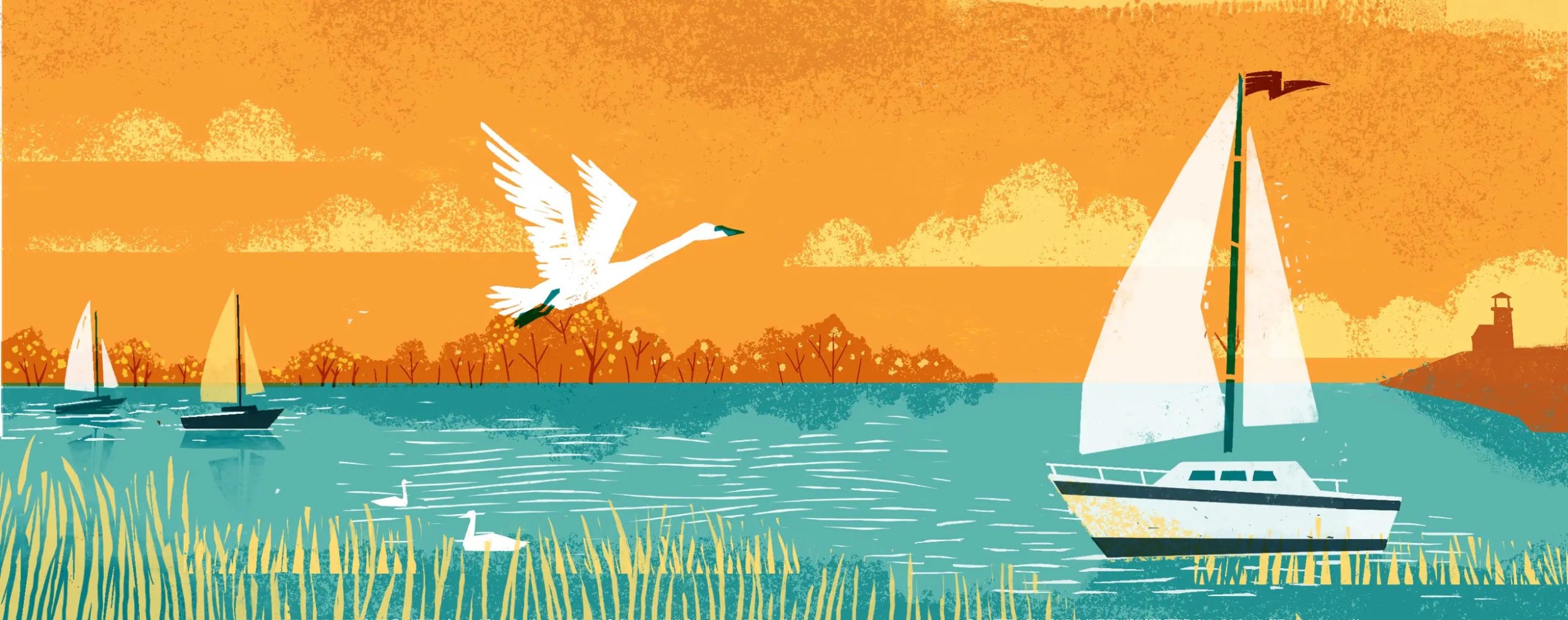 Graphically designed image with sail boats cruising through water and a bird flying overhead.