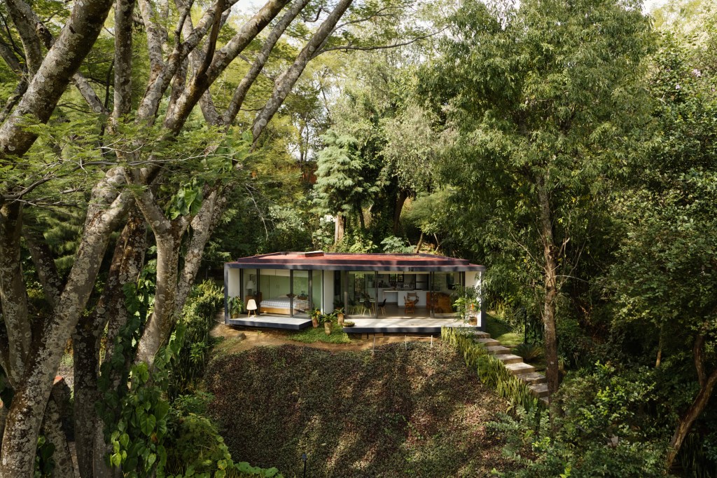 Aerial view of a bungalow in a tropical rainforest. 