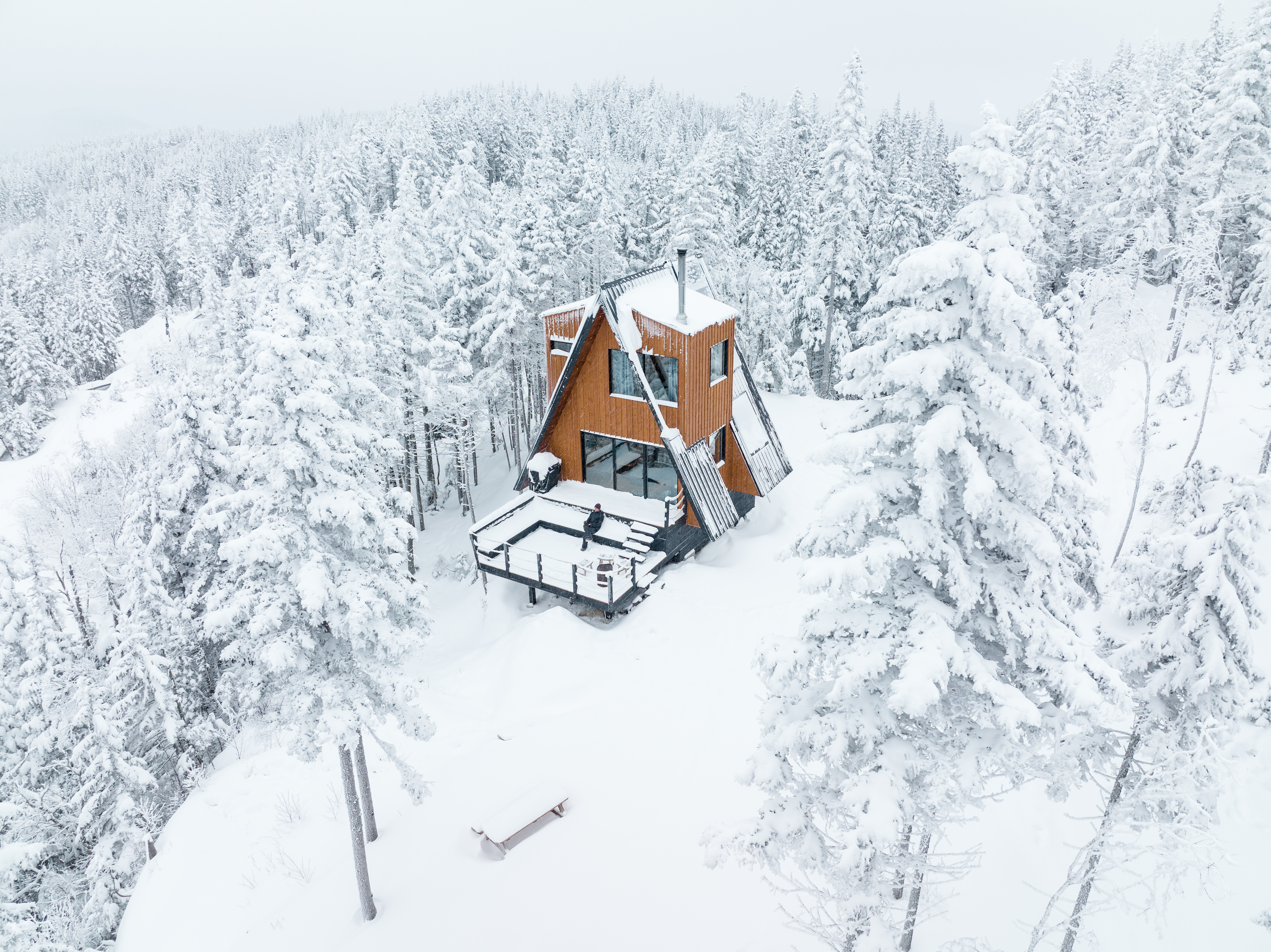 A wooden house sits in the middle of a snow drenched field, surrounded by a snowy forest.