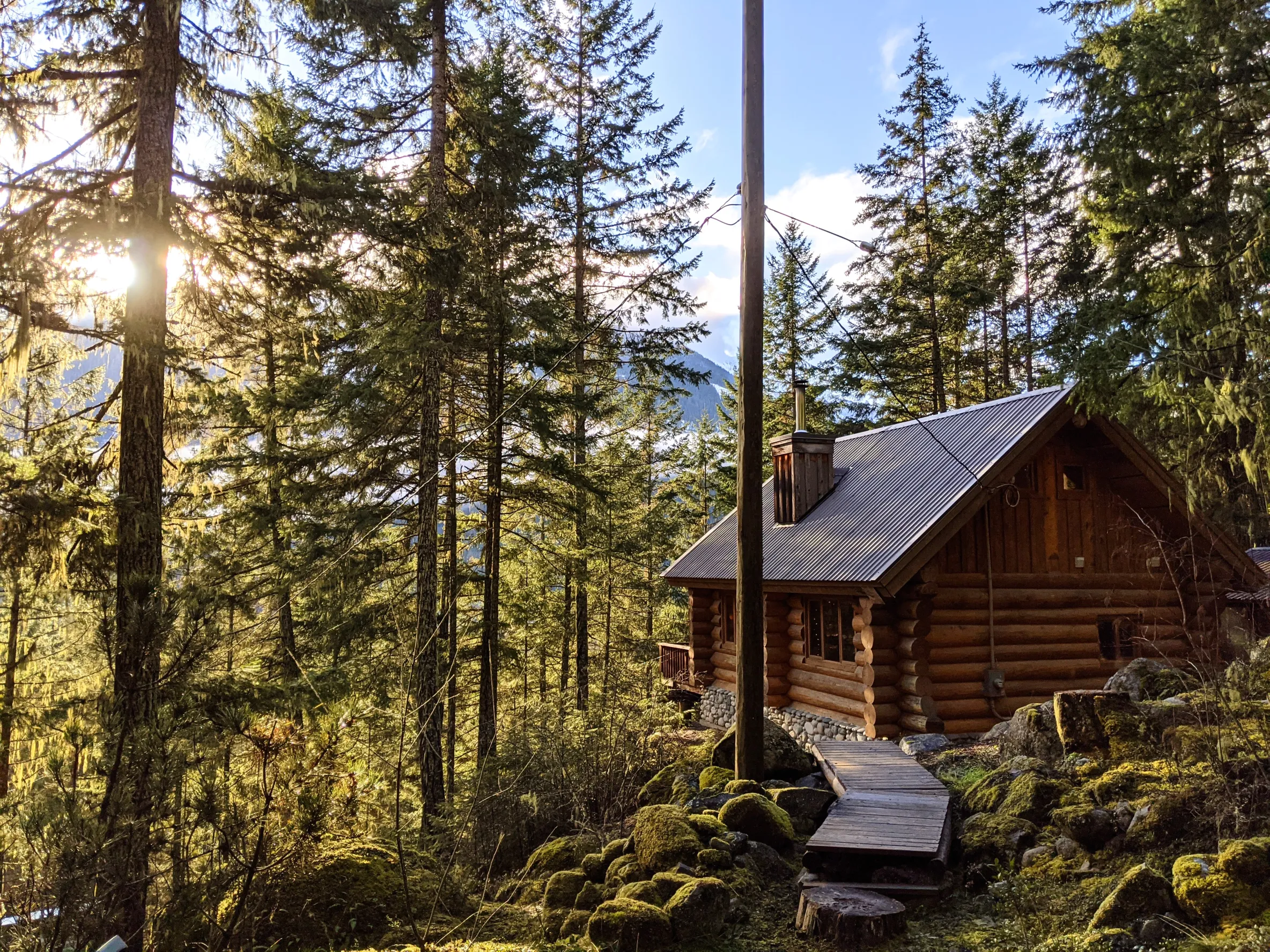 A log cabin in a forest in BC