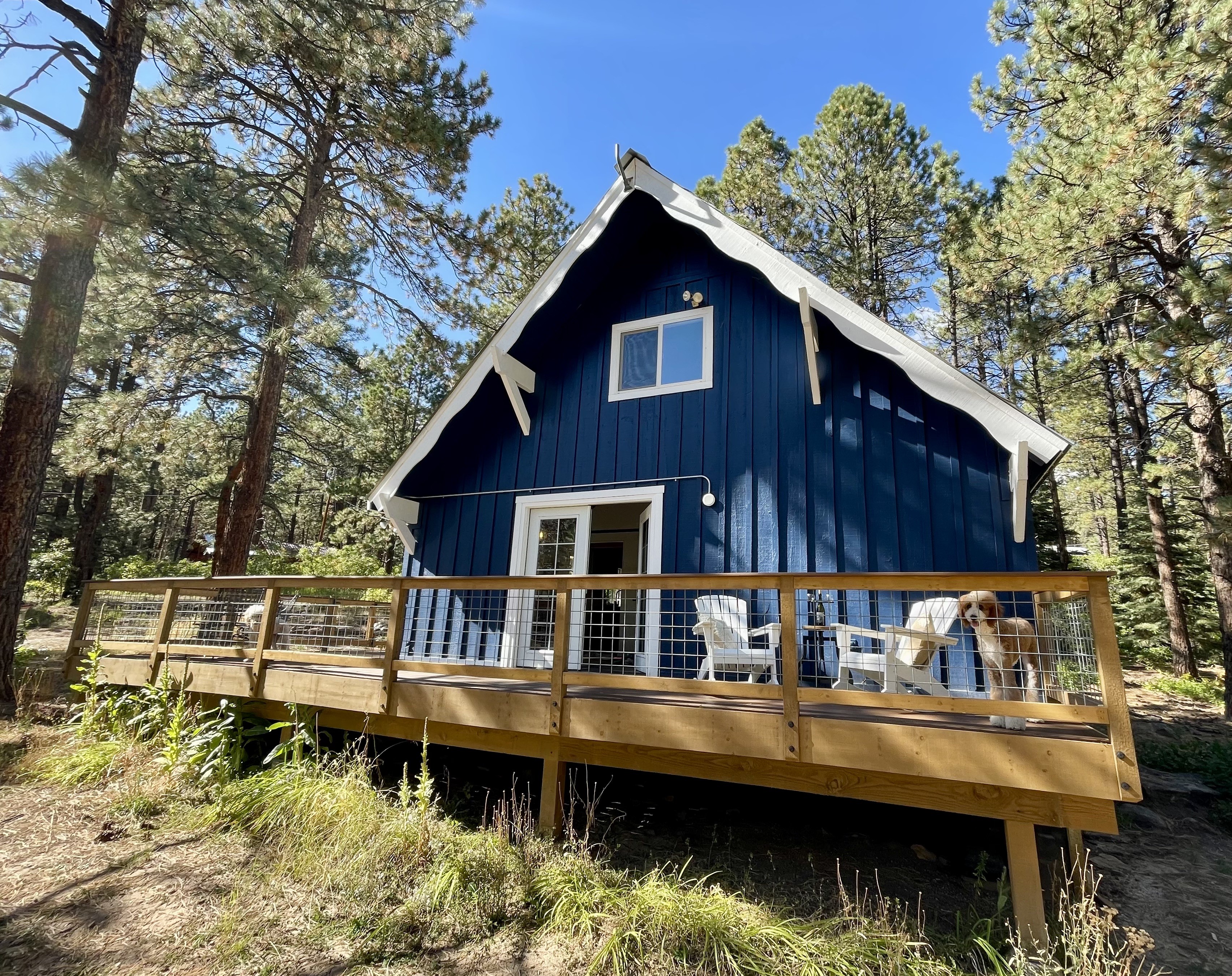 A cobalt blue cabin with white trimming and a front deck with white adirondack chairs nestled amongst pine trees.