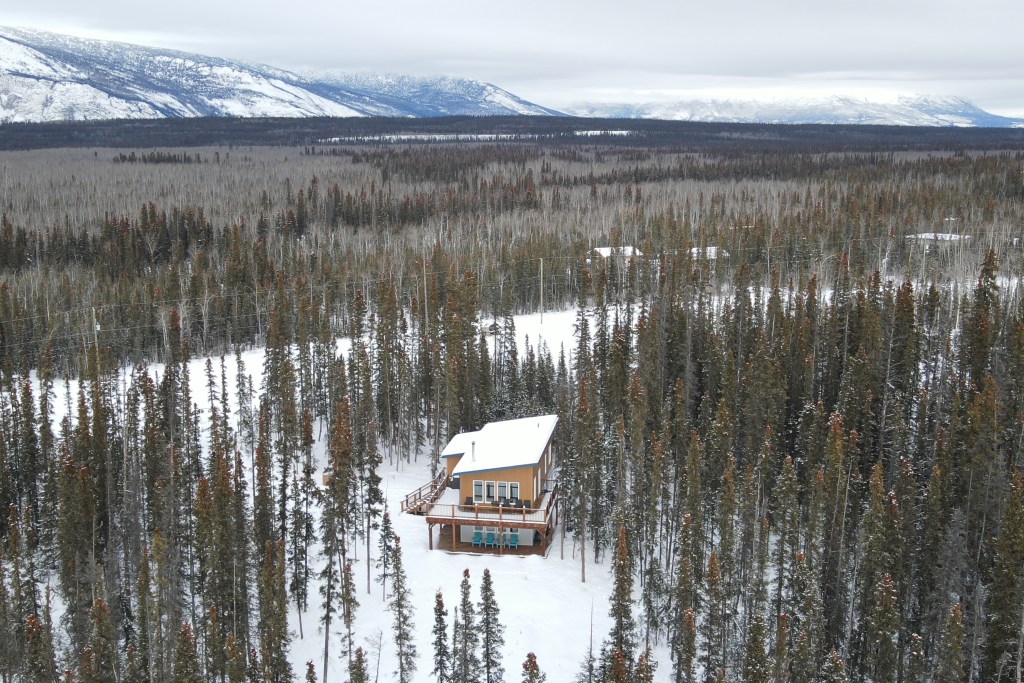 A cabin deep in the forest, with mountains in the distance. 