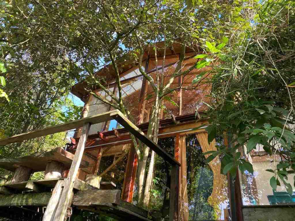 View from the bottom of a wood house in the middle of the trees