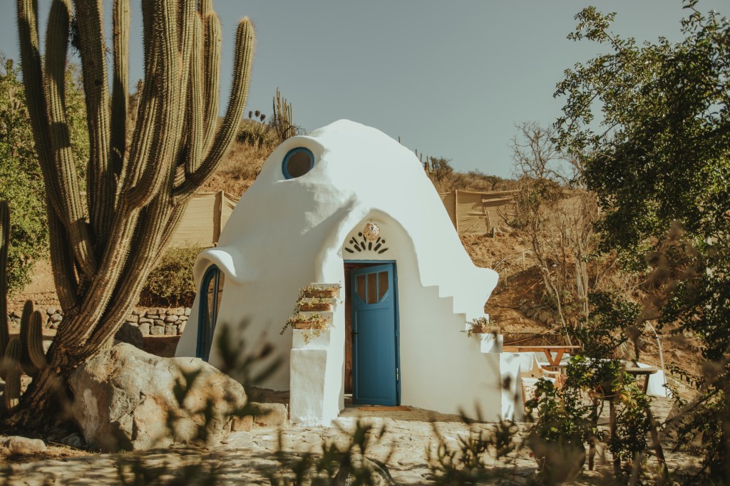 White dome with blue windows and door half open in the middle of trees and cactuses