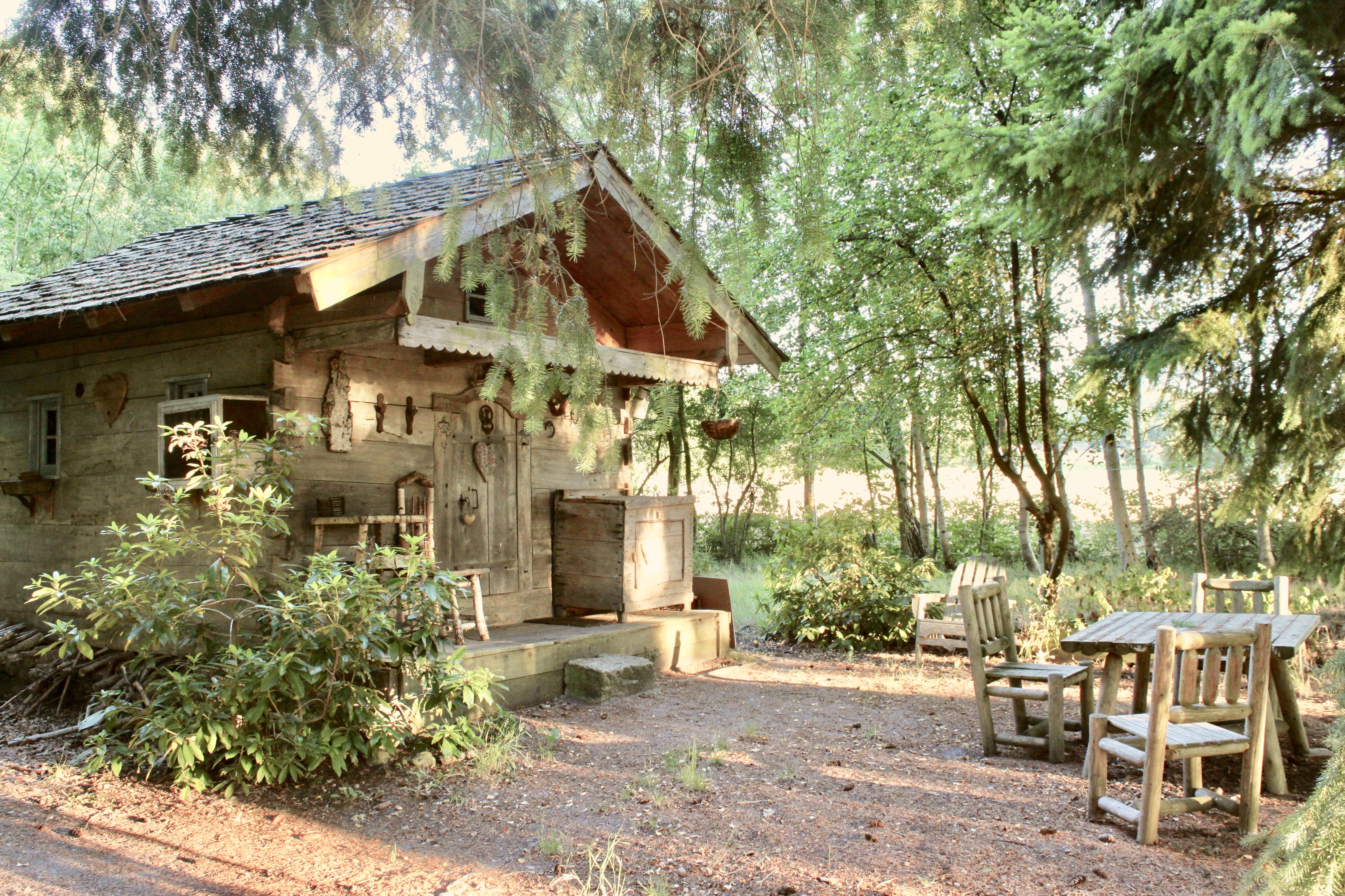 Exterior shot of a charming timber chalet in a woodland setting.