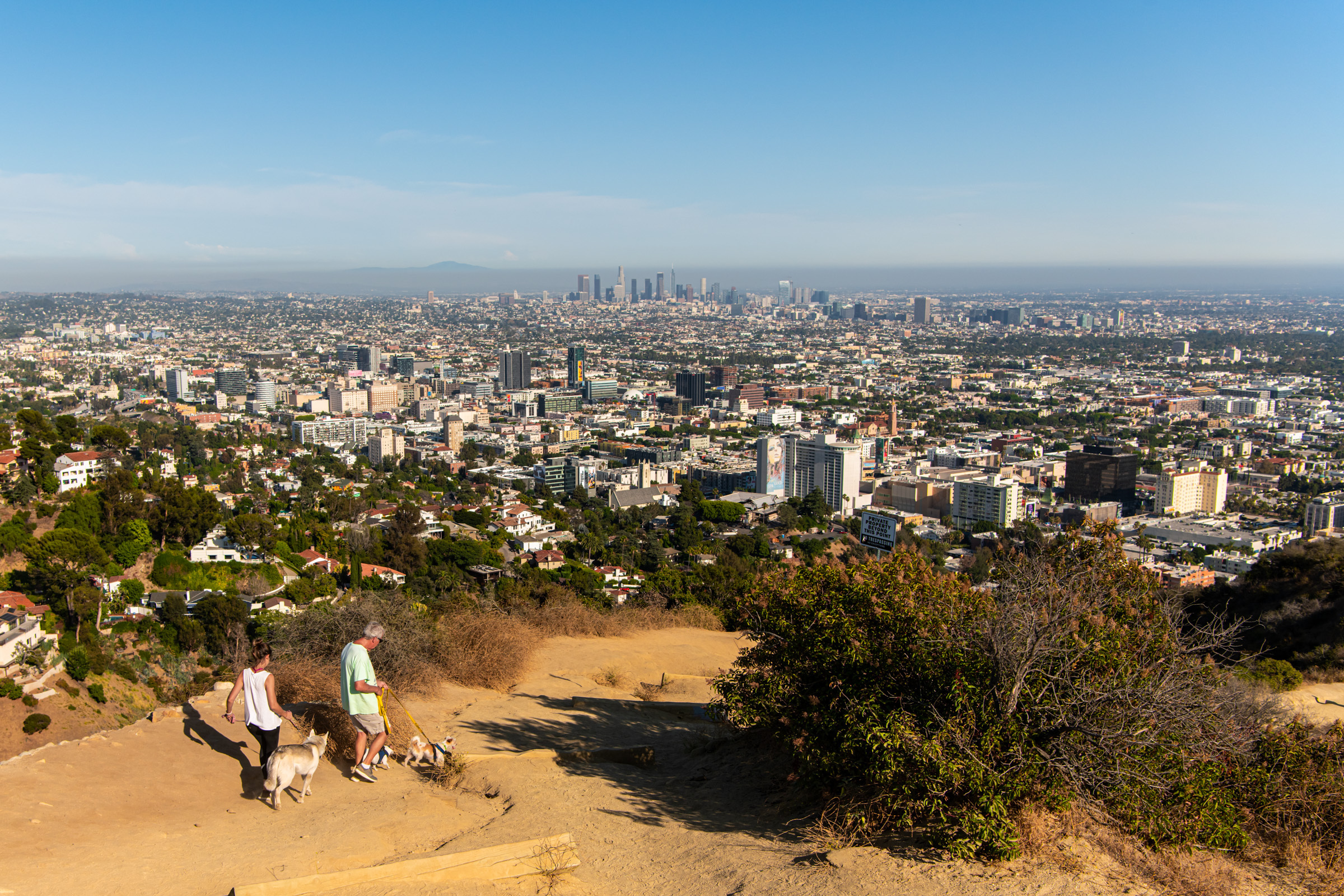 Two people walking their dogs stand on a ledge overlooking a Californian city with buildings in the background