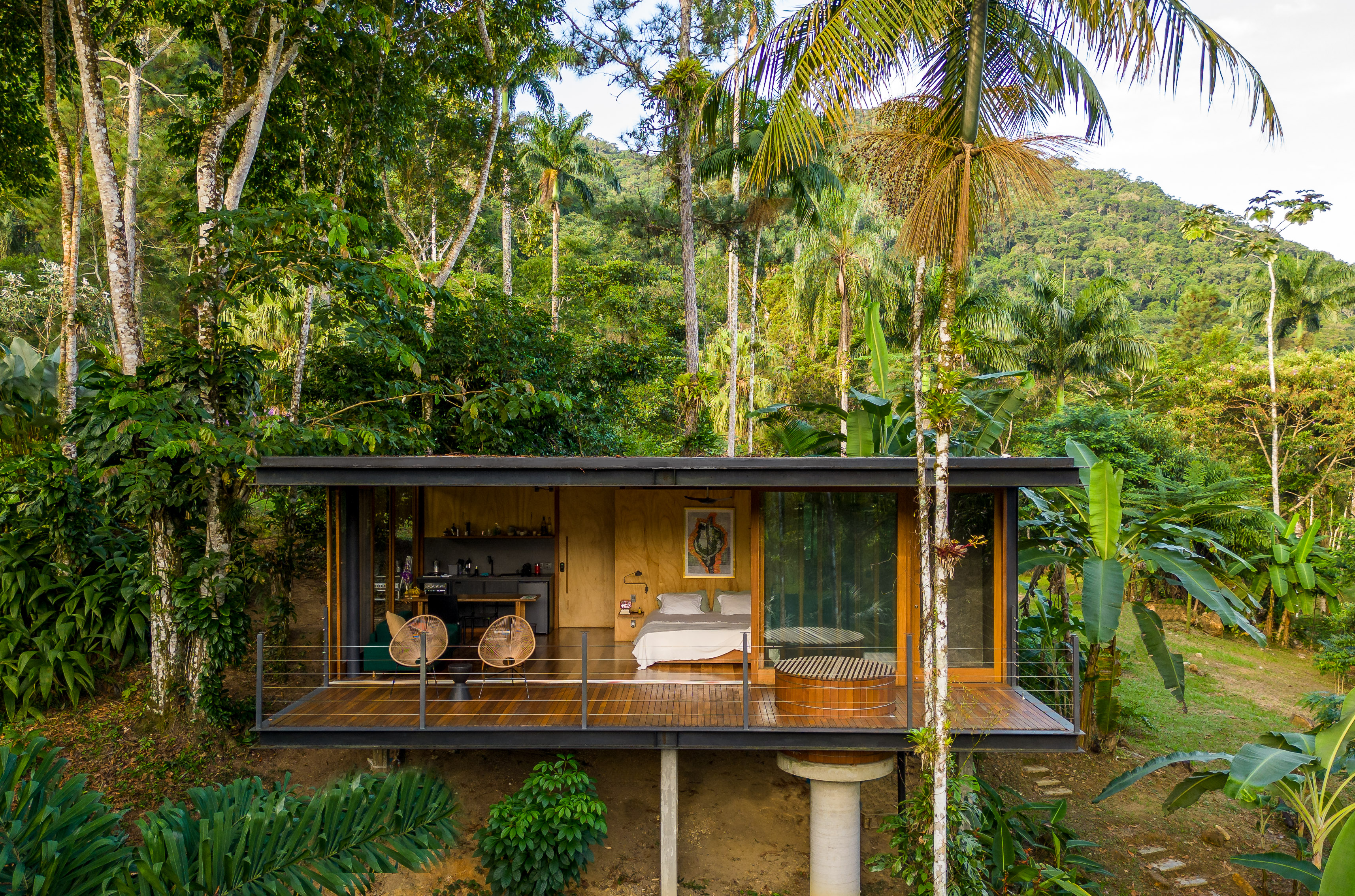 Wooden tiny home cabin in the jungle