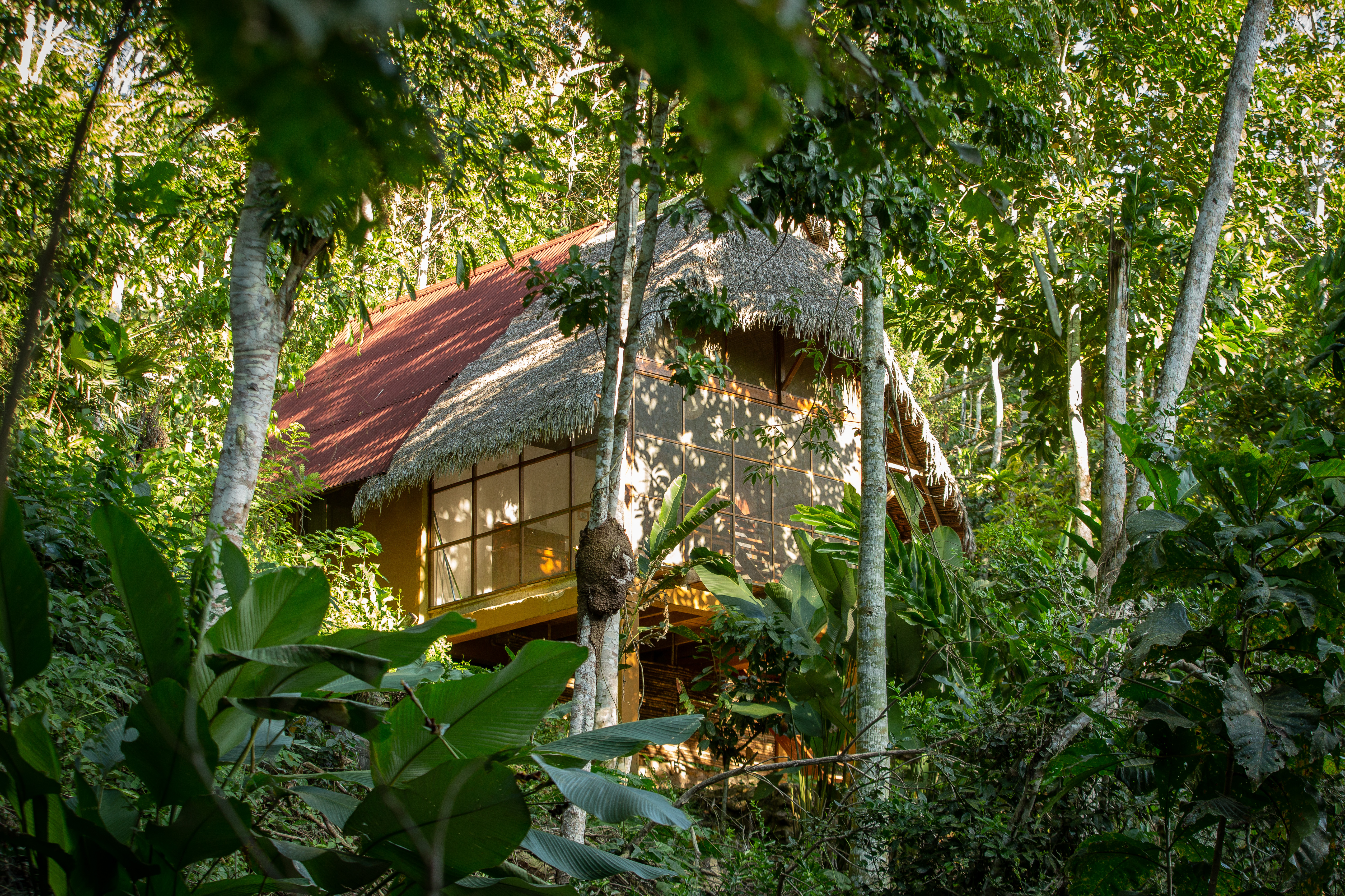 View of a tree house in the middle of the Peruvian Amazon rainforest