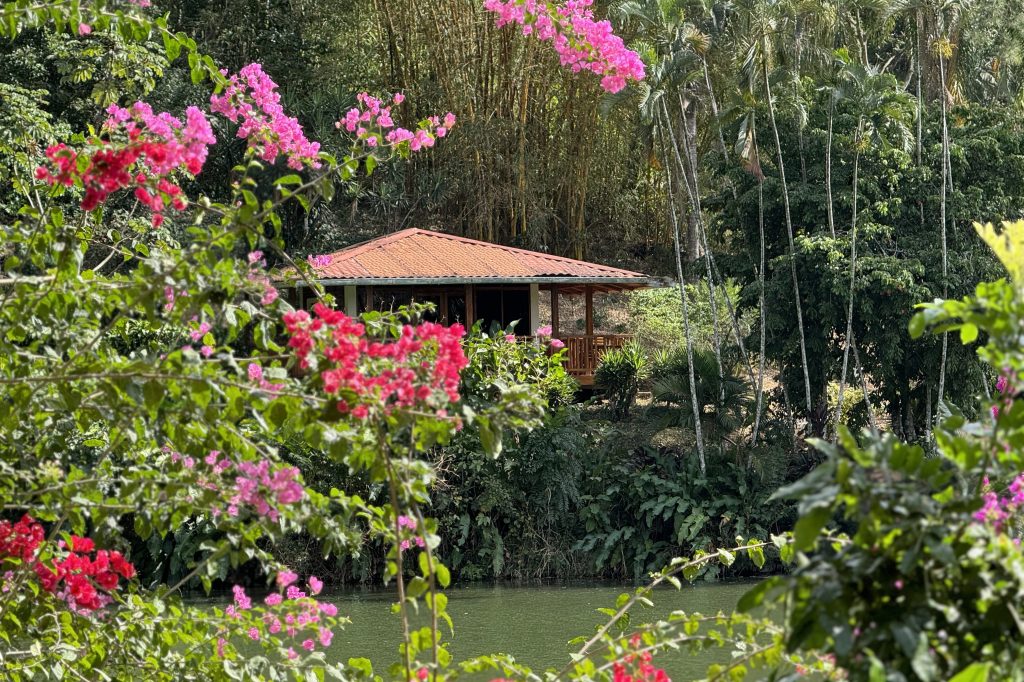 Cabin located in lush greenery