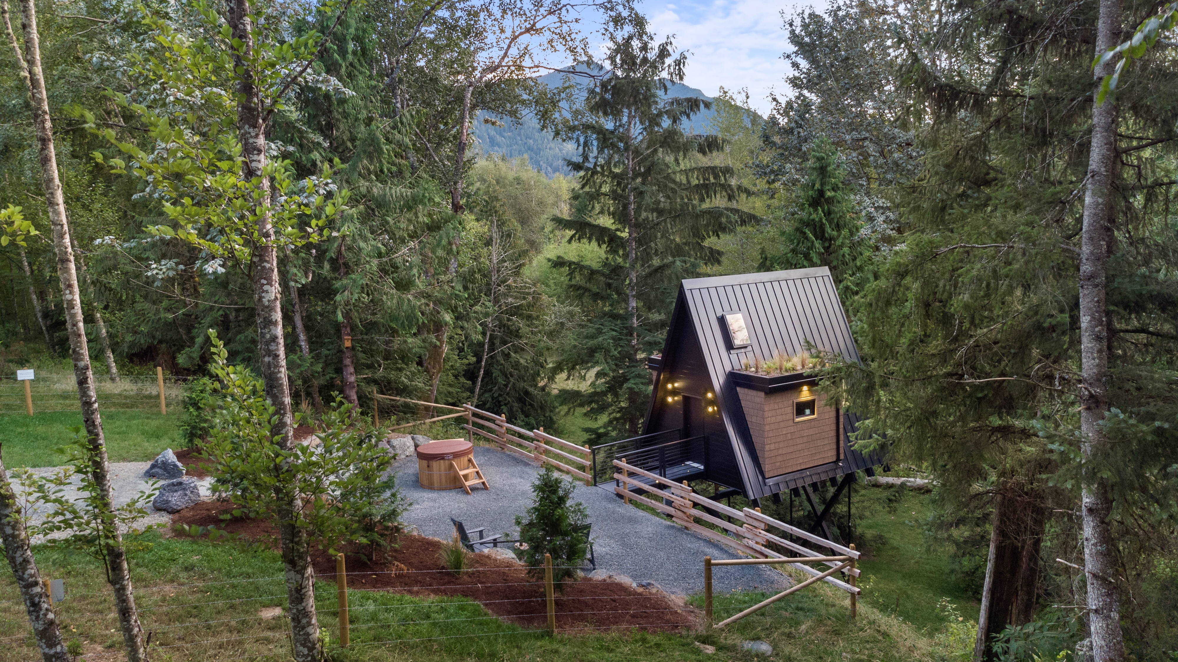 Treehouse in the middle of trees