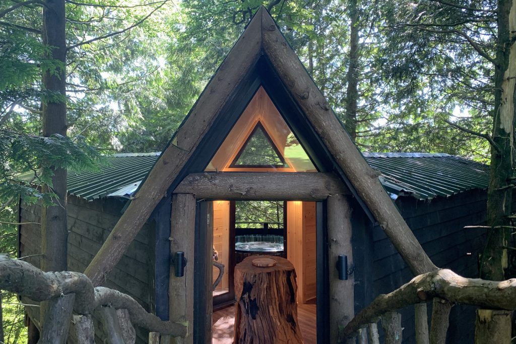 A-frame cabin surrounded by trees